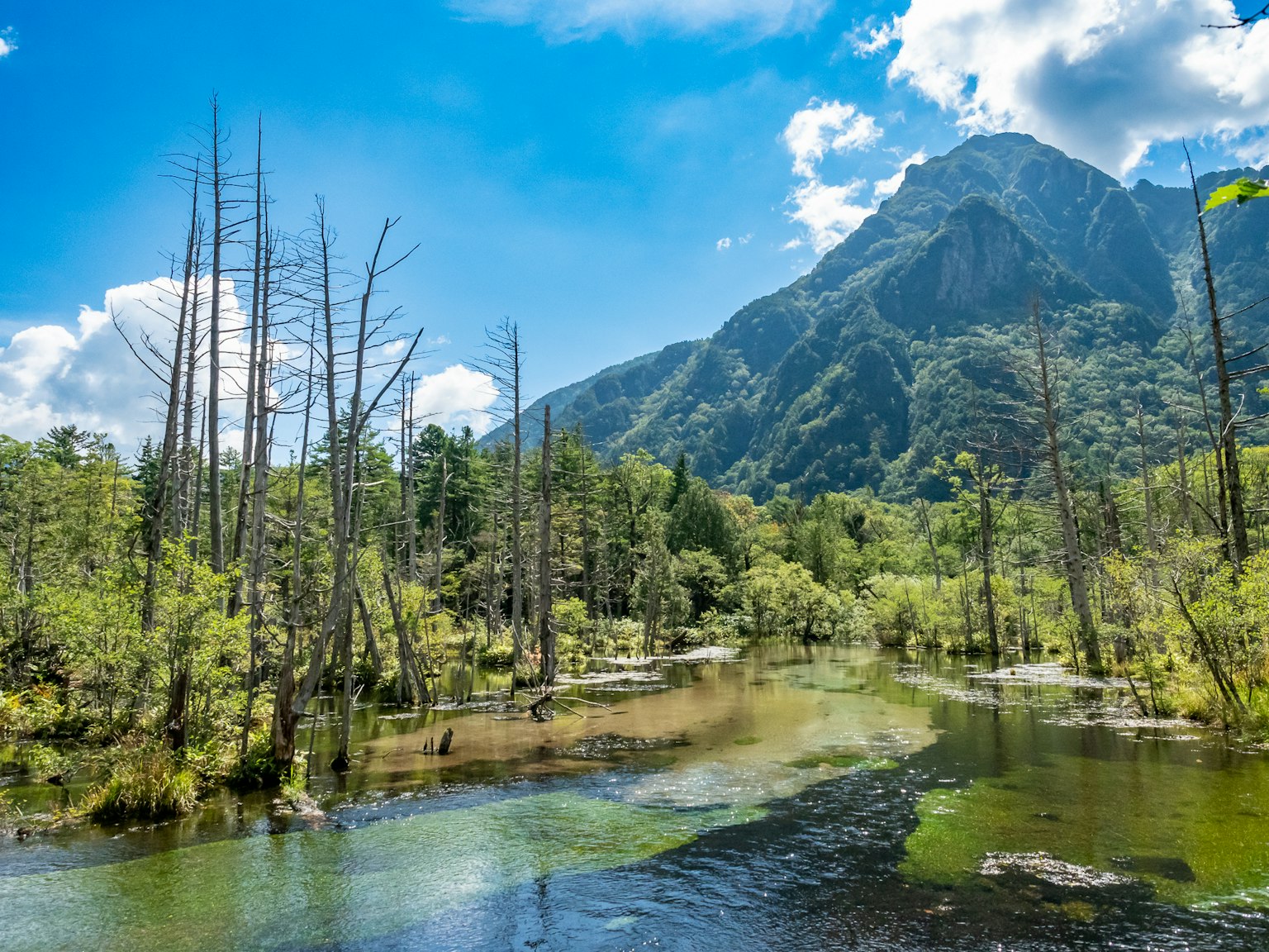 Pemandangan sungai yang dikelilingi pegunungan dan vegetasi subur