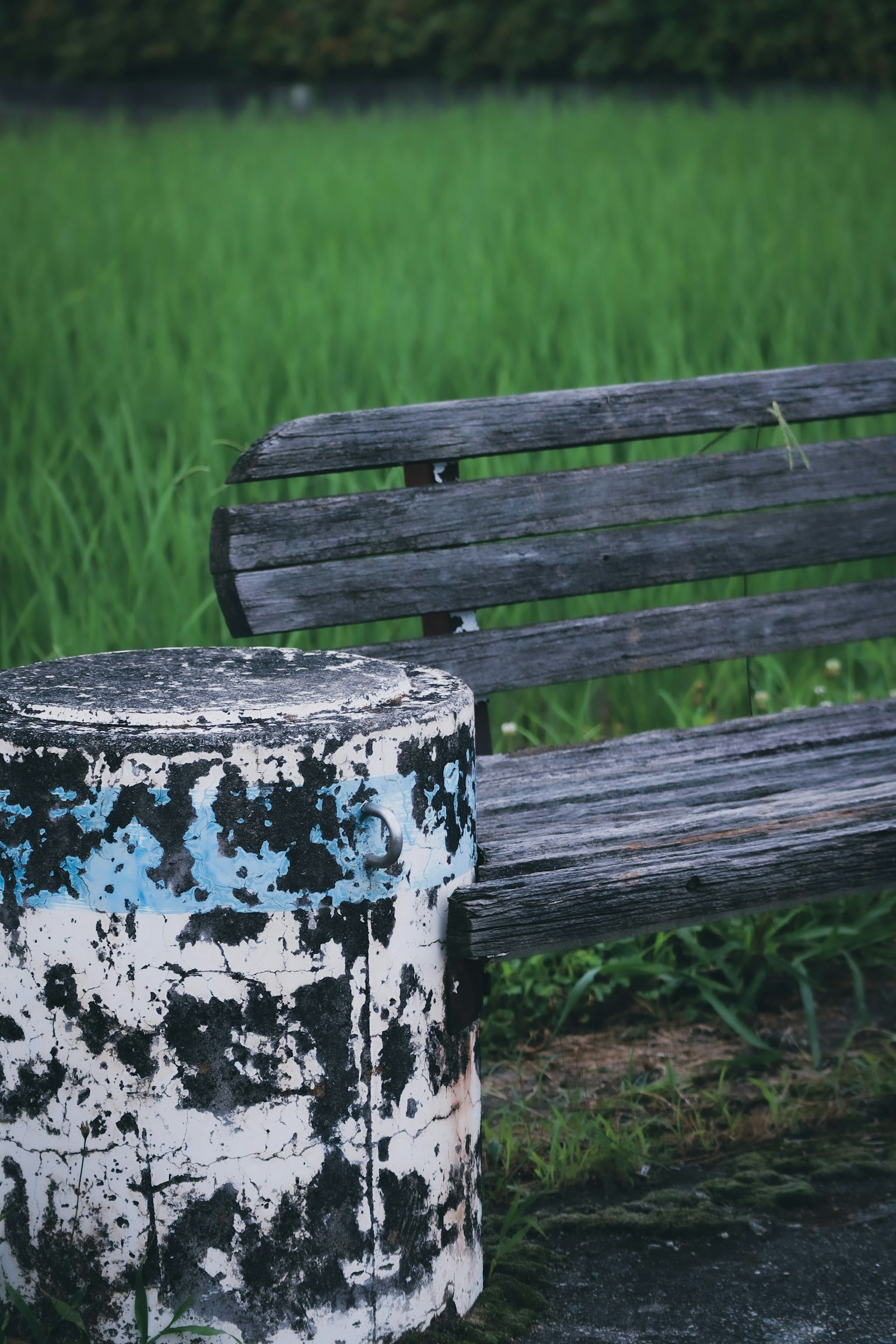 Un banco de madera viejo al lado de una mesa cilíndrica desgastada con pintura descascarada en un campo verde