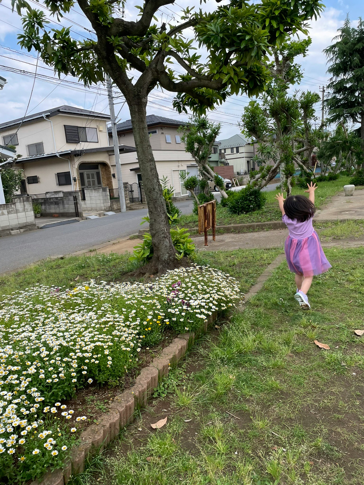 花壇の小道を走る子どもと南国の庭の木々のある住宅街の風景
