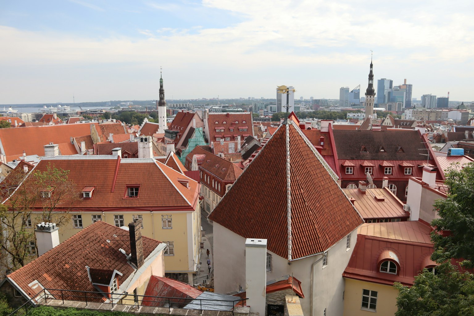 Blick auf Tallinn mit roten Dächern und moderner Skyline