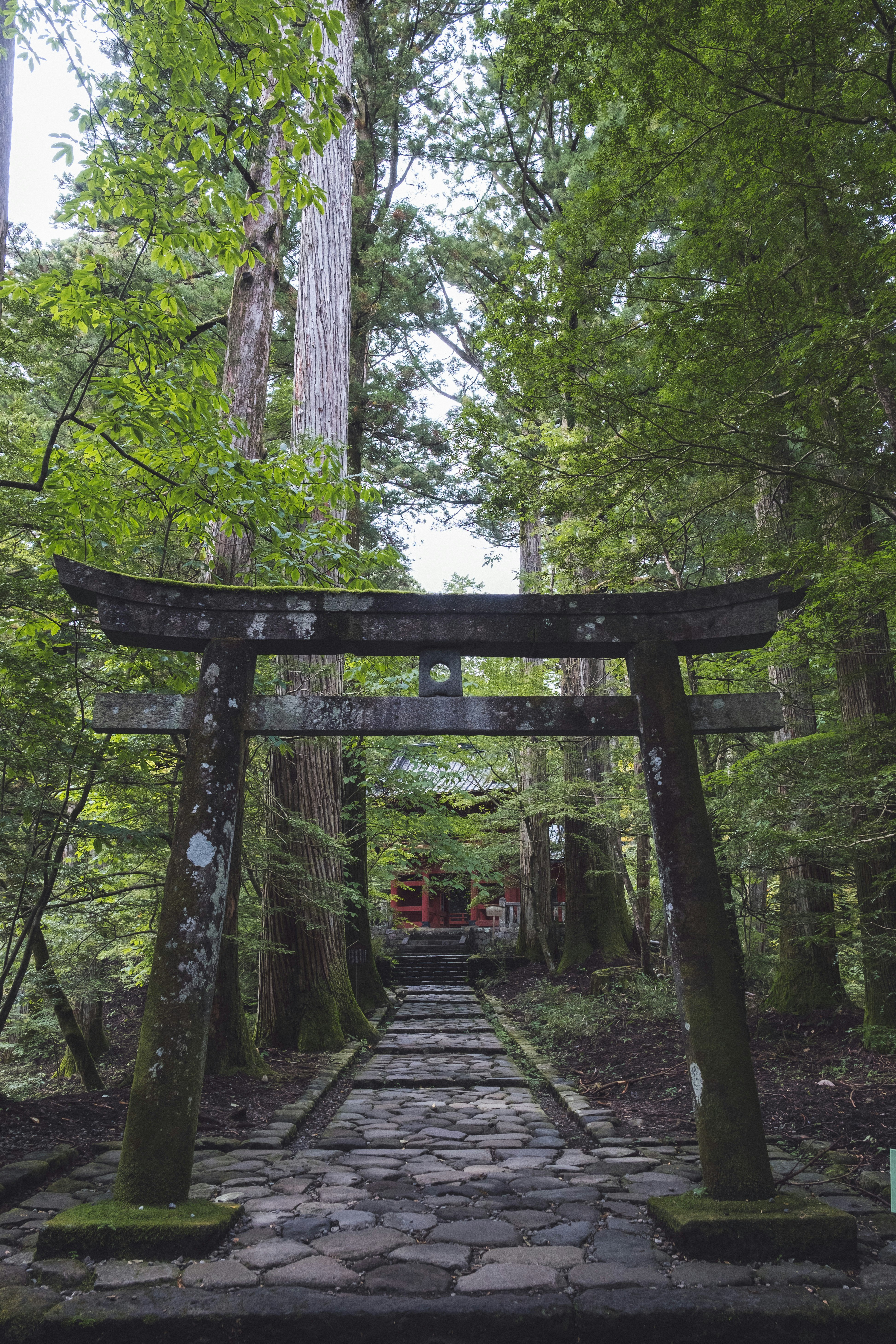 日光參道兩側的鳥居與石板小徑
