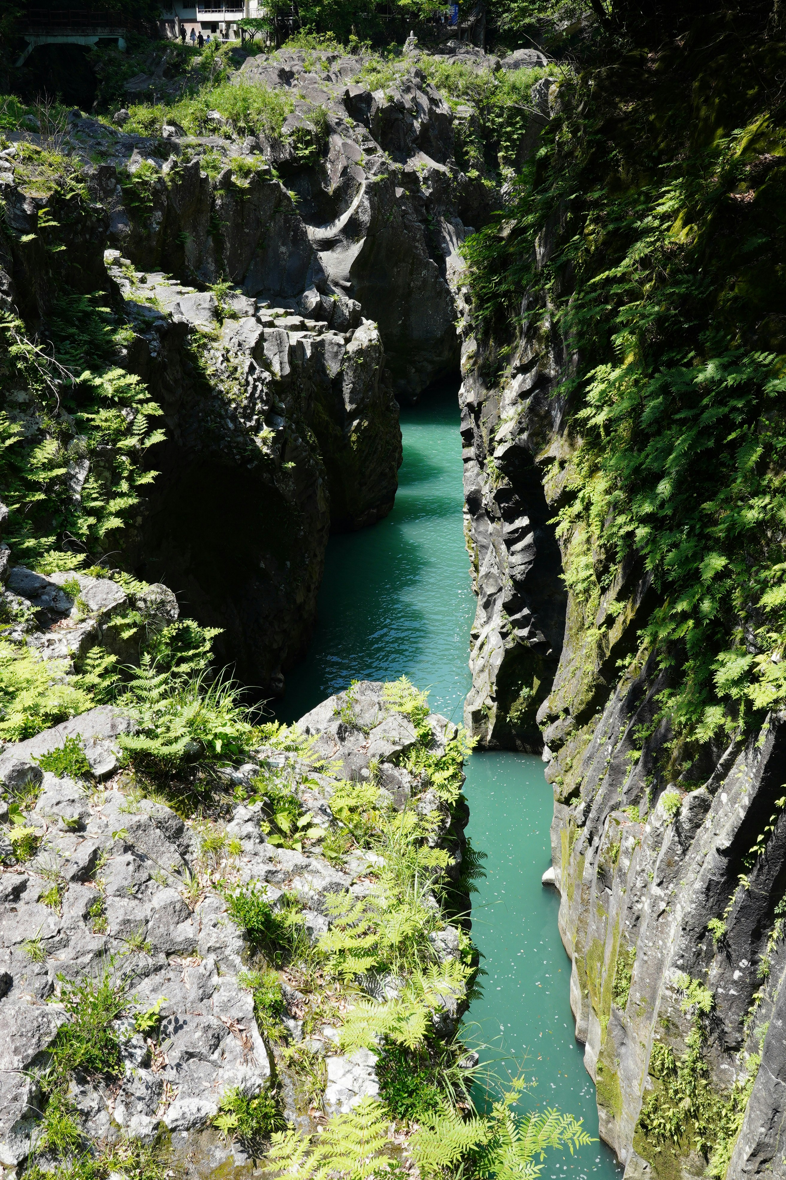 Río color esmeralda fluyendo por un cañón rocoso