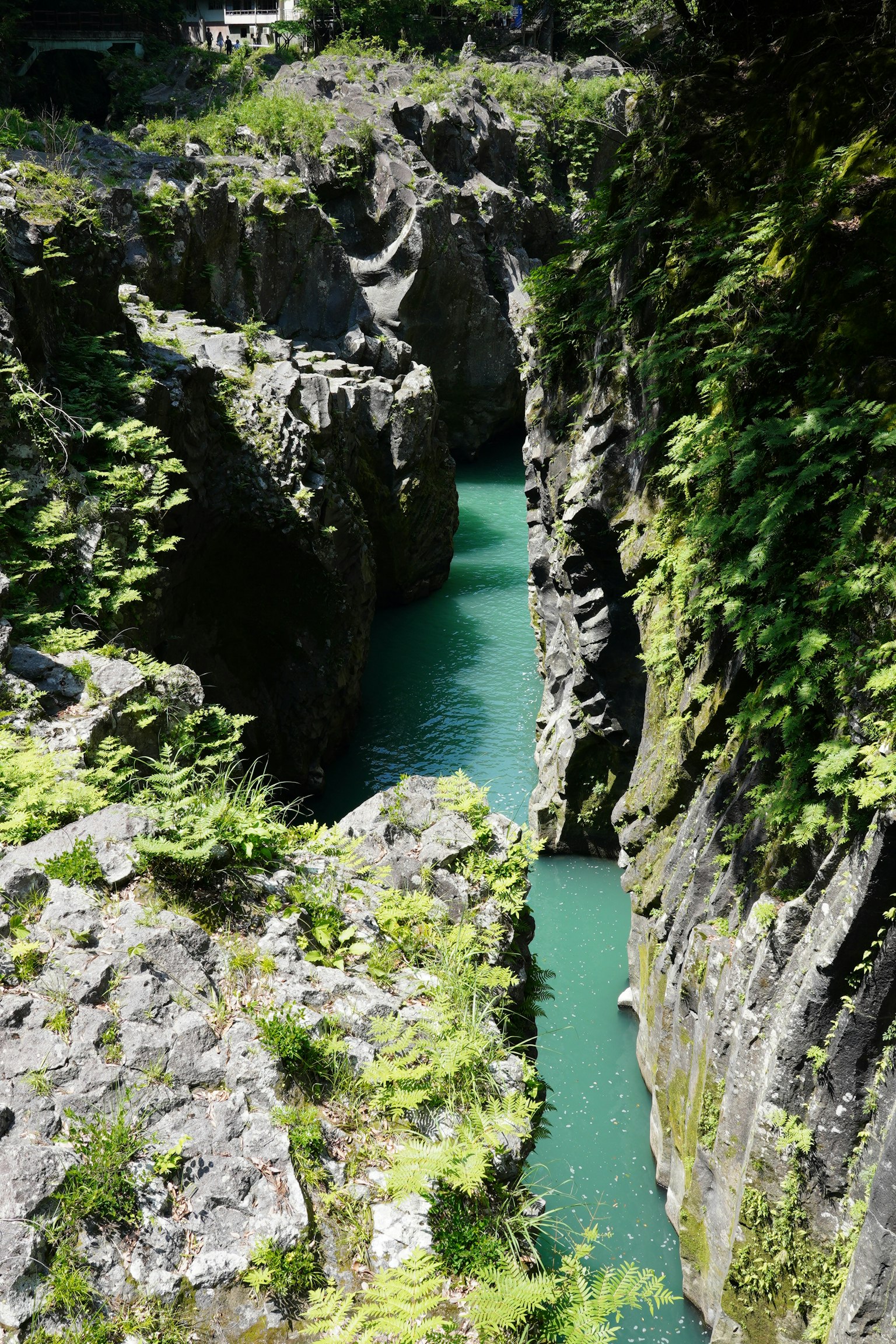 Pemandangan indah dari ngarai sempit dengan sungai turquoise dikelilingi oleh vegetasi yang subur