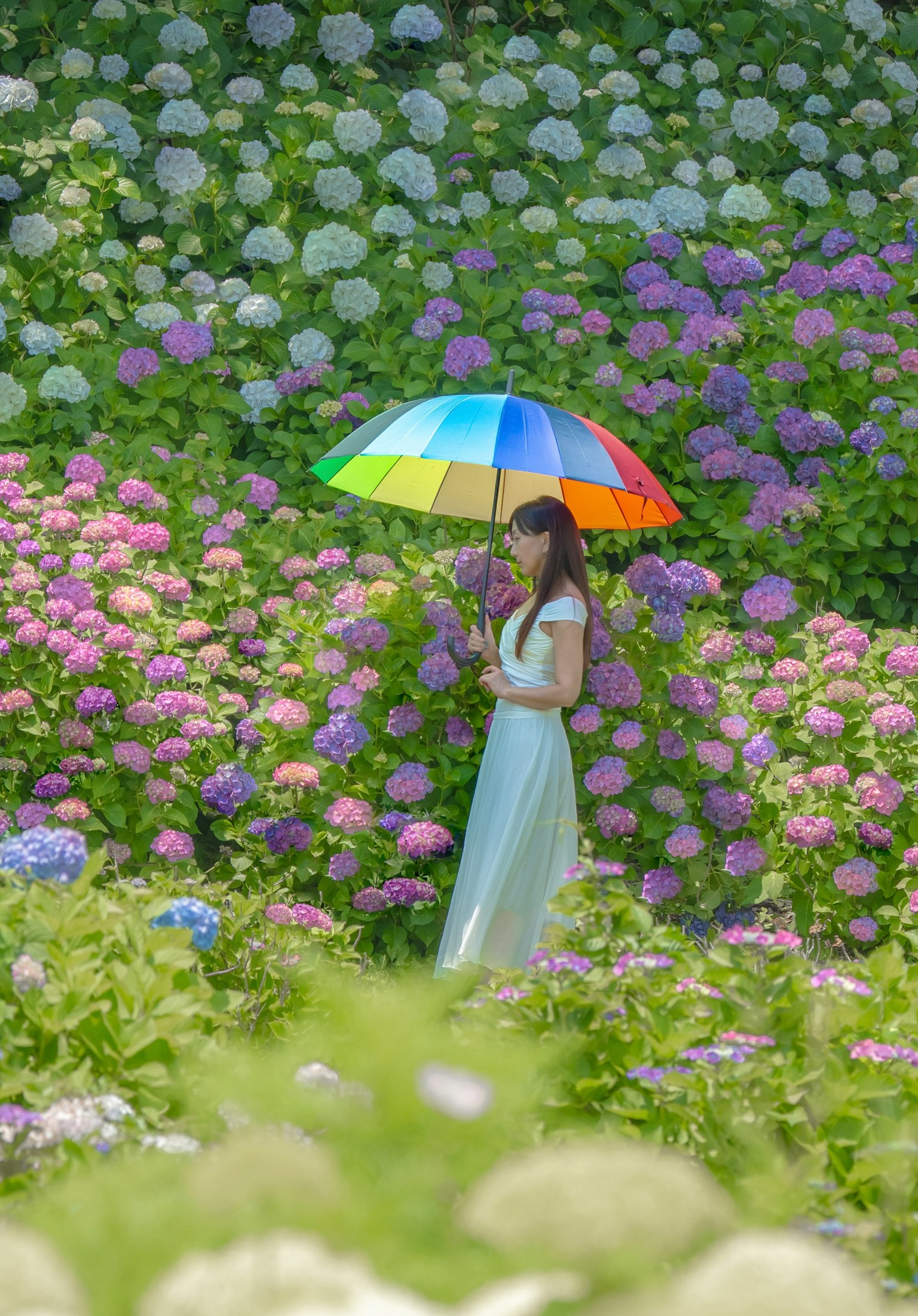 Una donna in piedi tra ortensie colorate con un ombrello arcobaleno