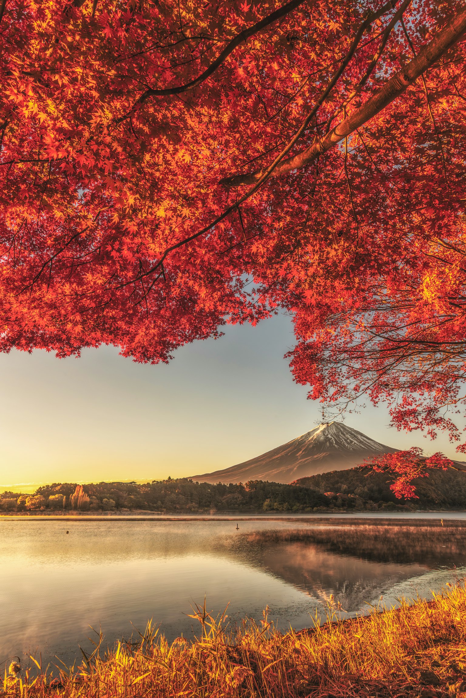 美しい紅葉の下に富士山が映る湖の風景