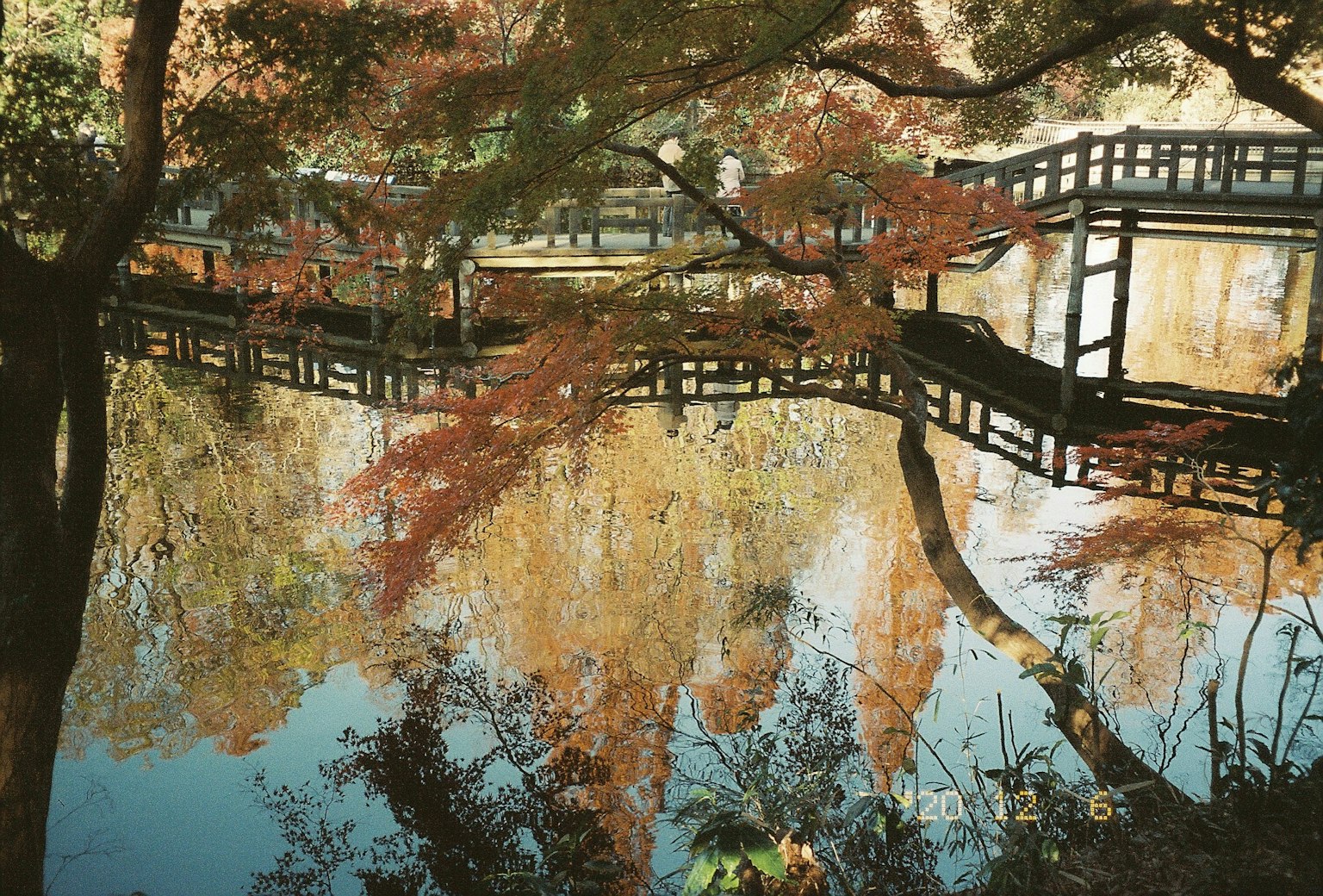 Estanque sereno reflejando hojas de otoño y puente de madera