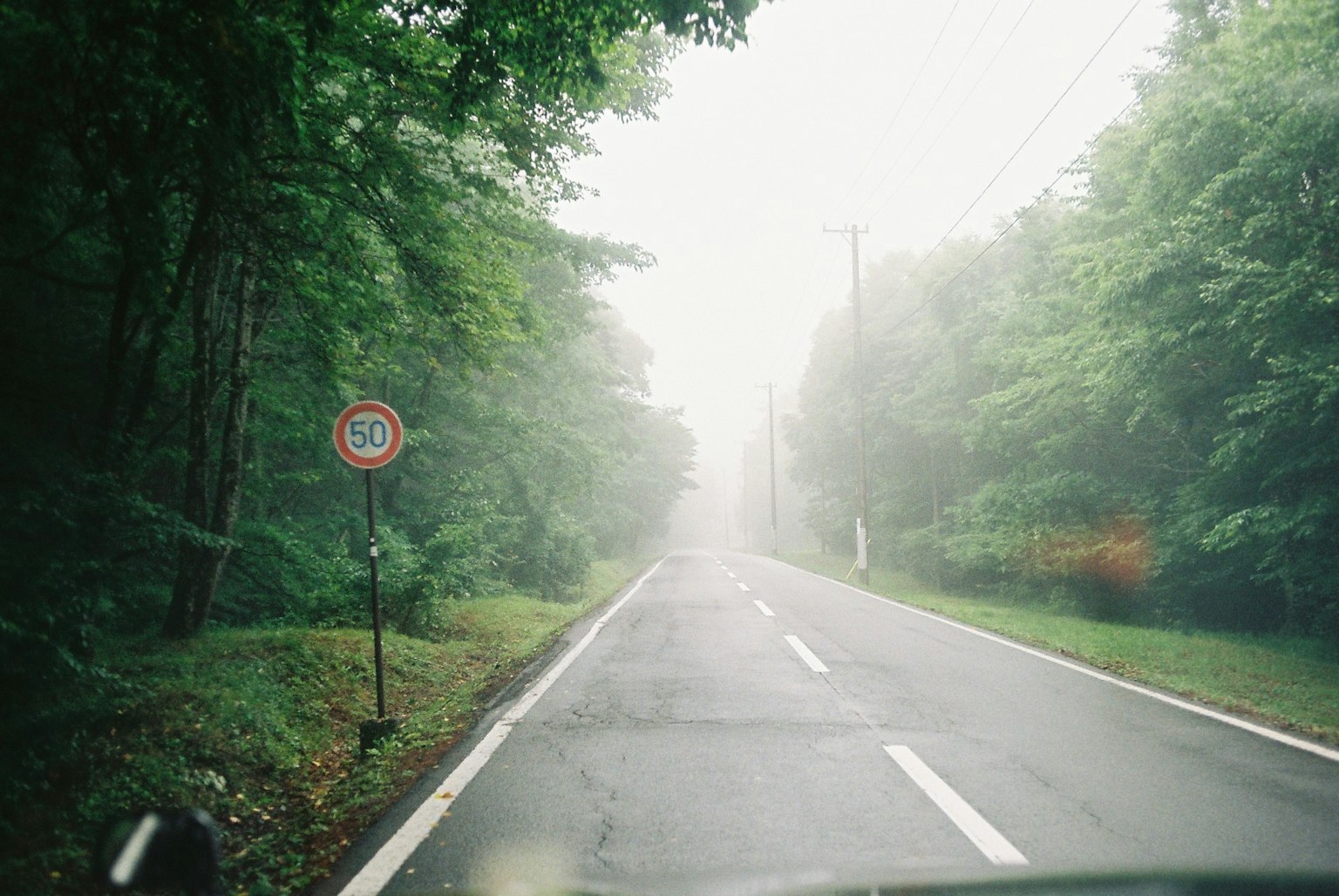 Ruhige Straße, eingehüllt in Nebel, mit grünen Bäumen an den Seiten