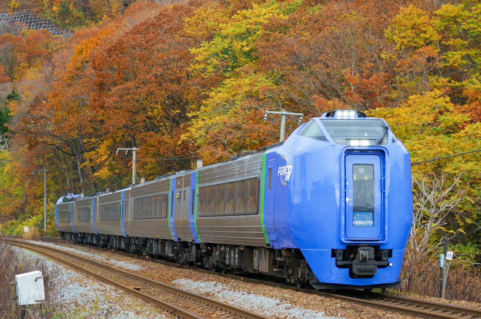 藍色列車穿過秋天的樹葉