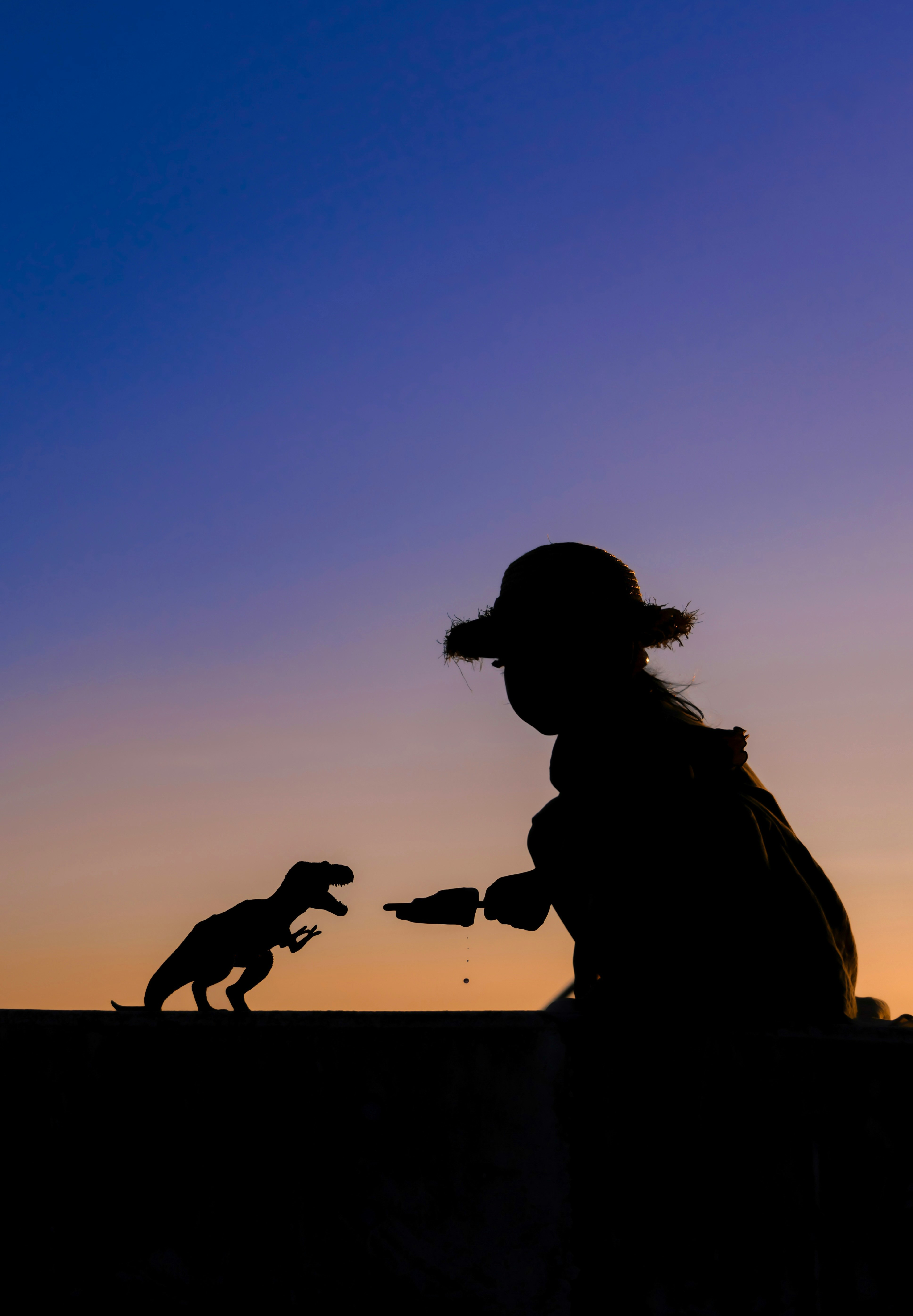 silhouette of a person playing with a dog at sunset