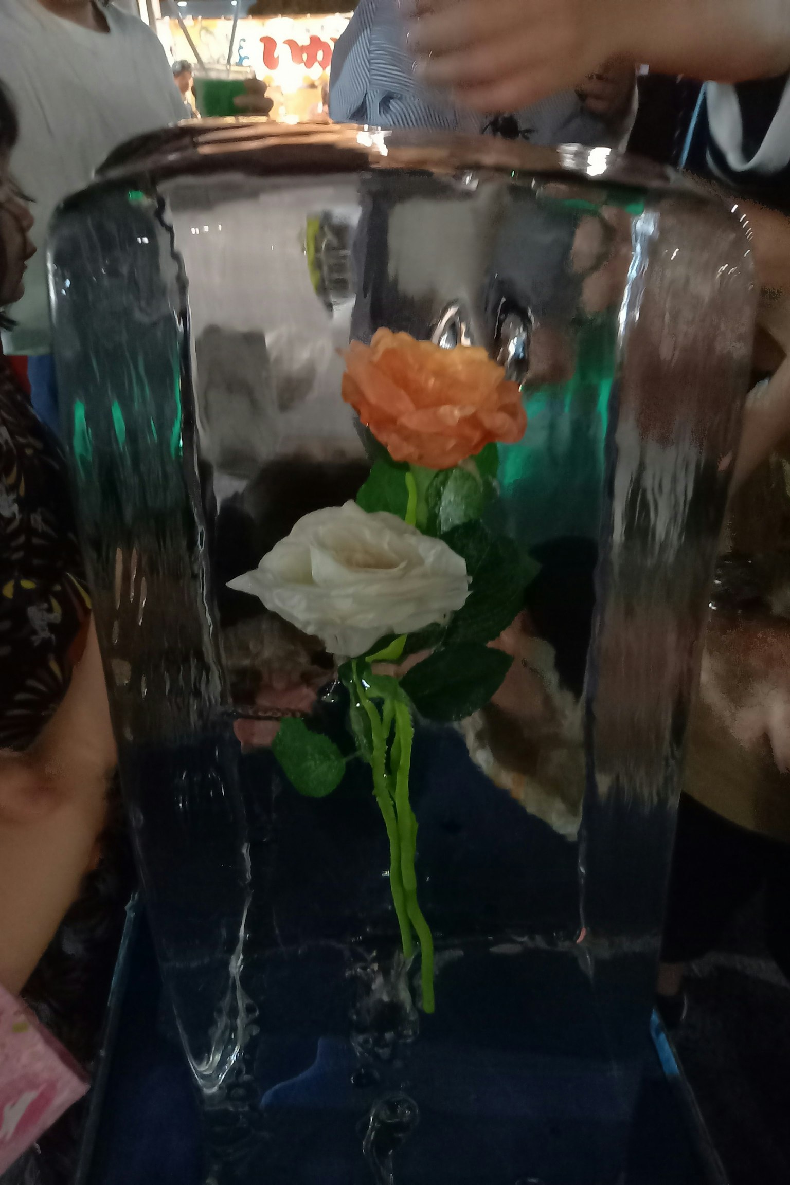 얼음 블록에 갇힌 오렌지색과 흰색 장미