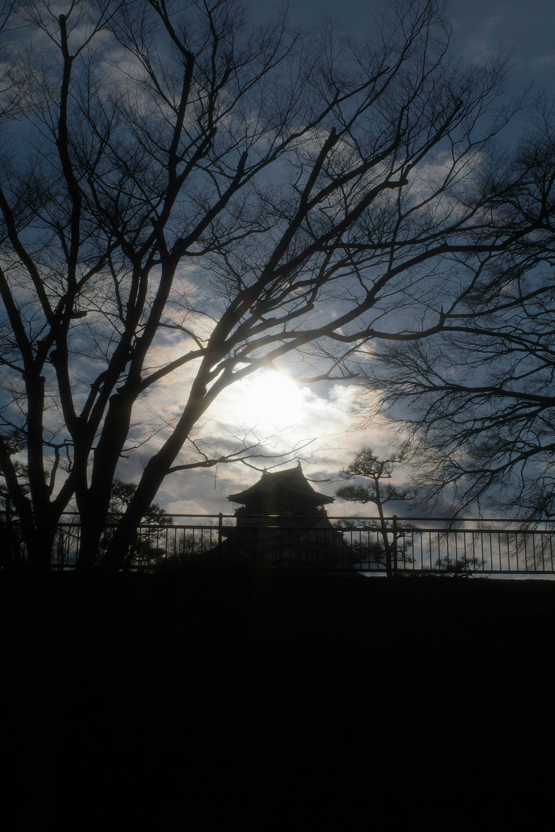 夕暮れの空と木々のシルエット、寺院の屋根が見える風景