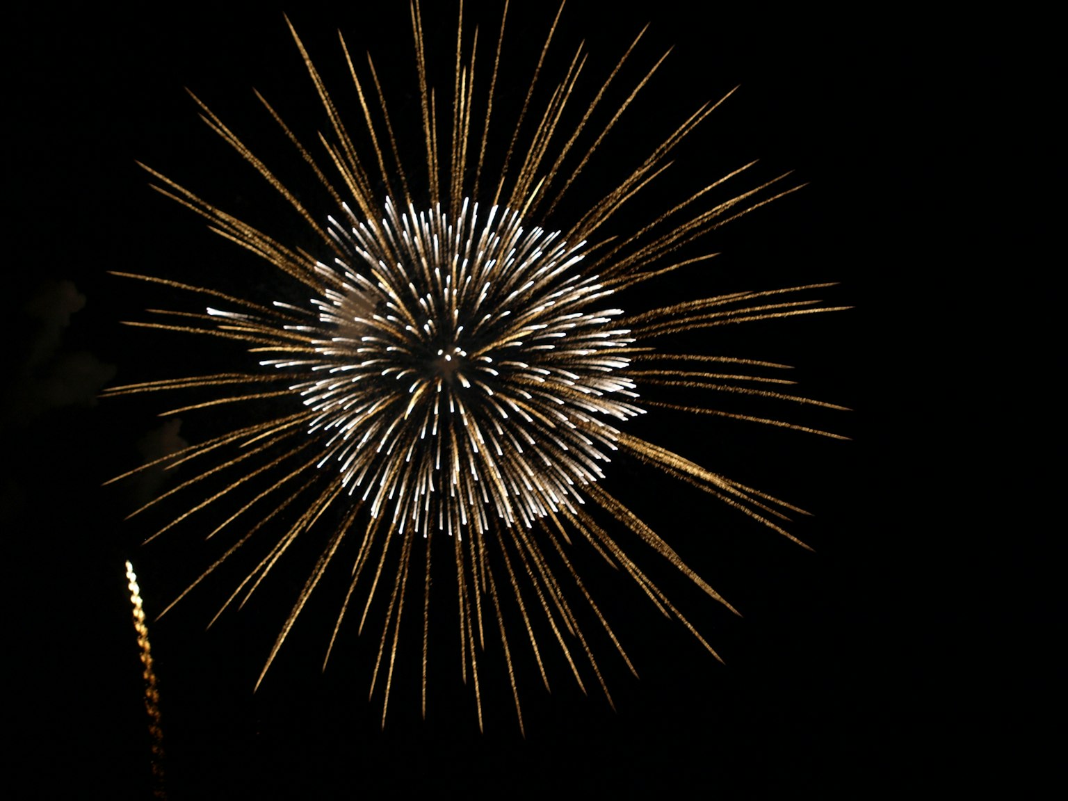 Esplosione di fuochi d'artificio dorati su sfondo nero