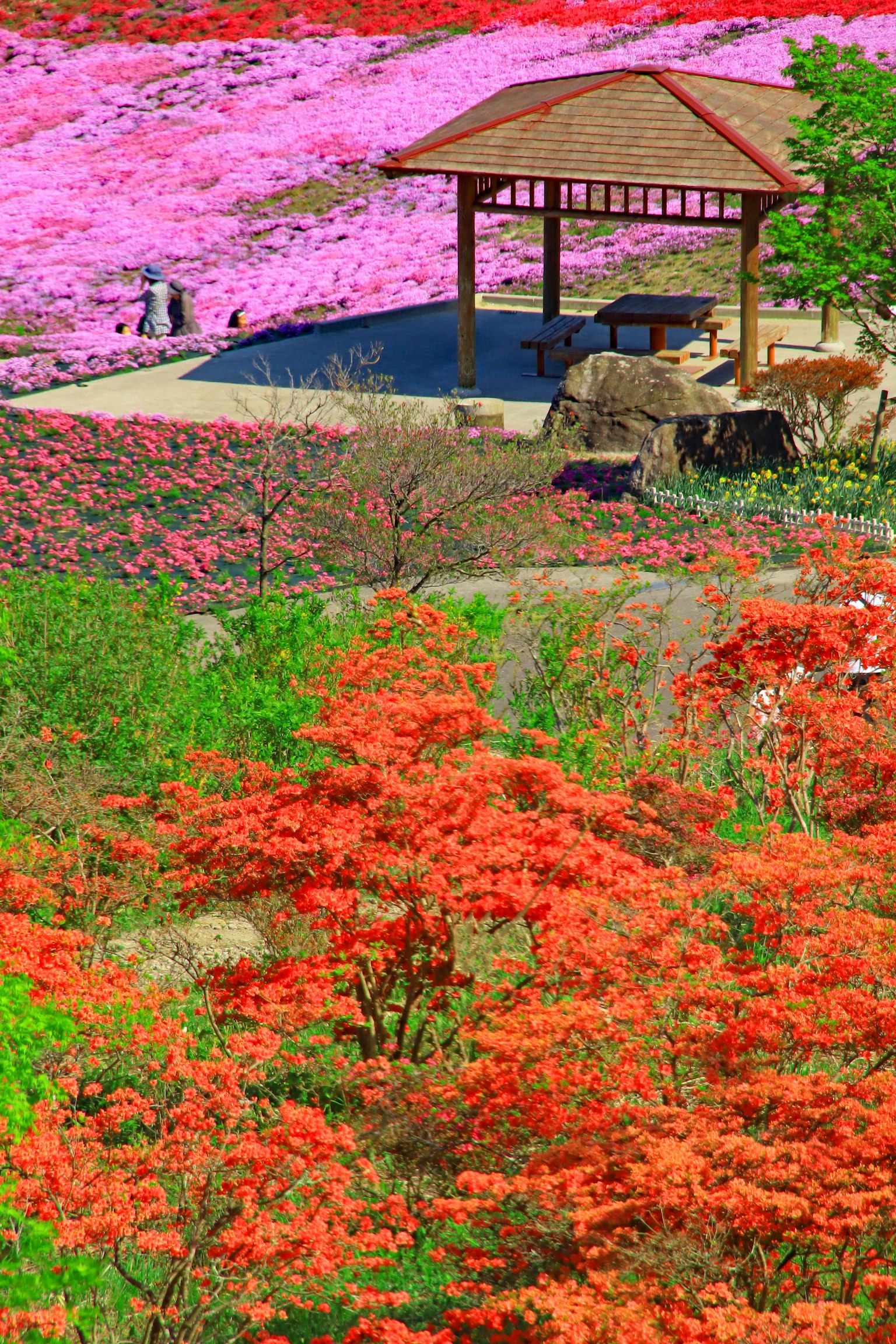 Scenic view of colorful flowers with a gazebo