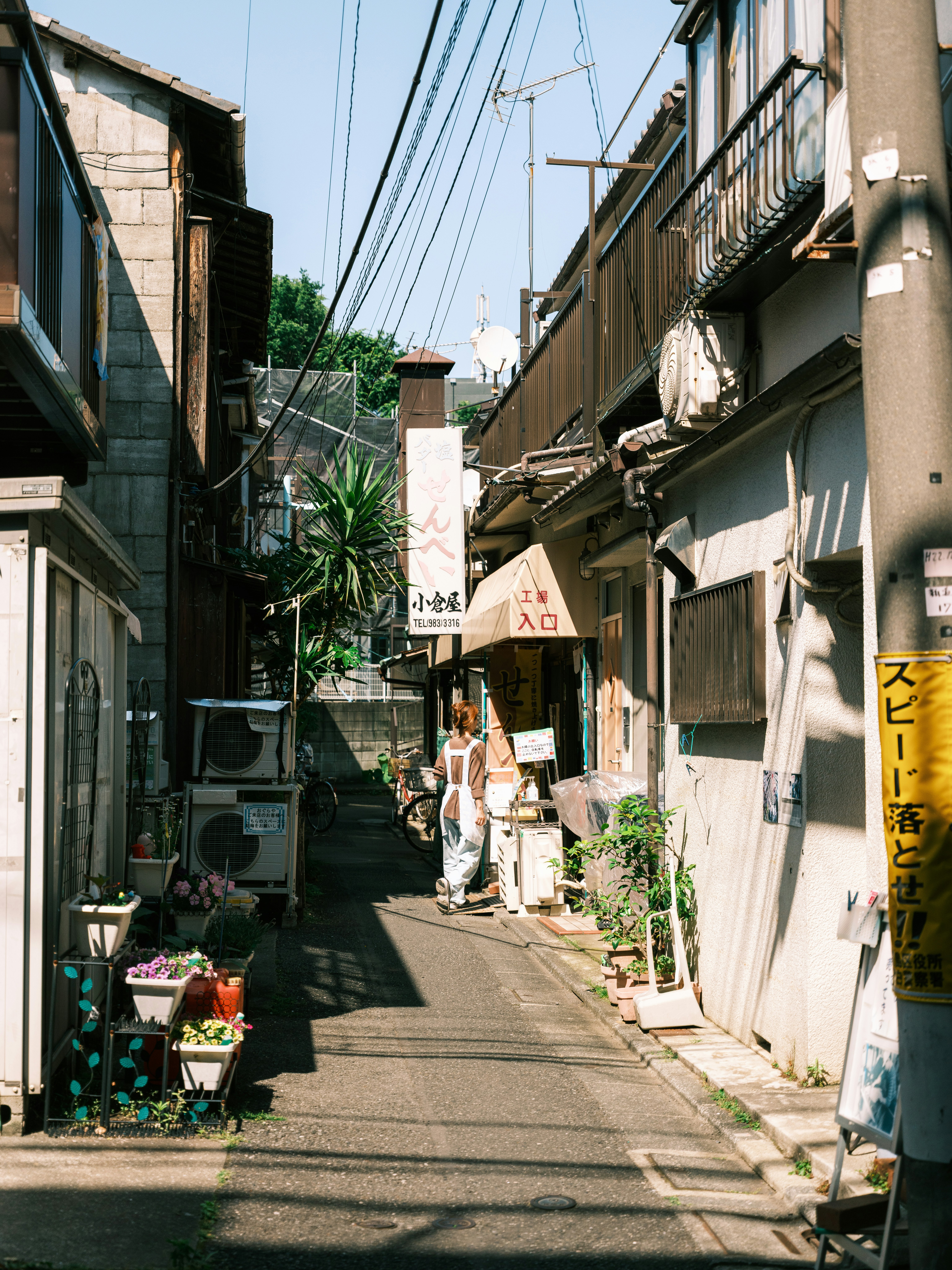 路地に並ぶ植木鉢と店先のある商店街の軒先