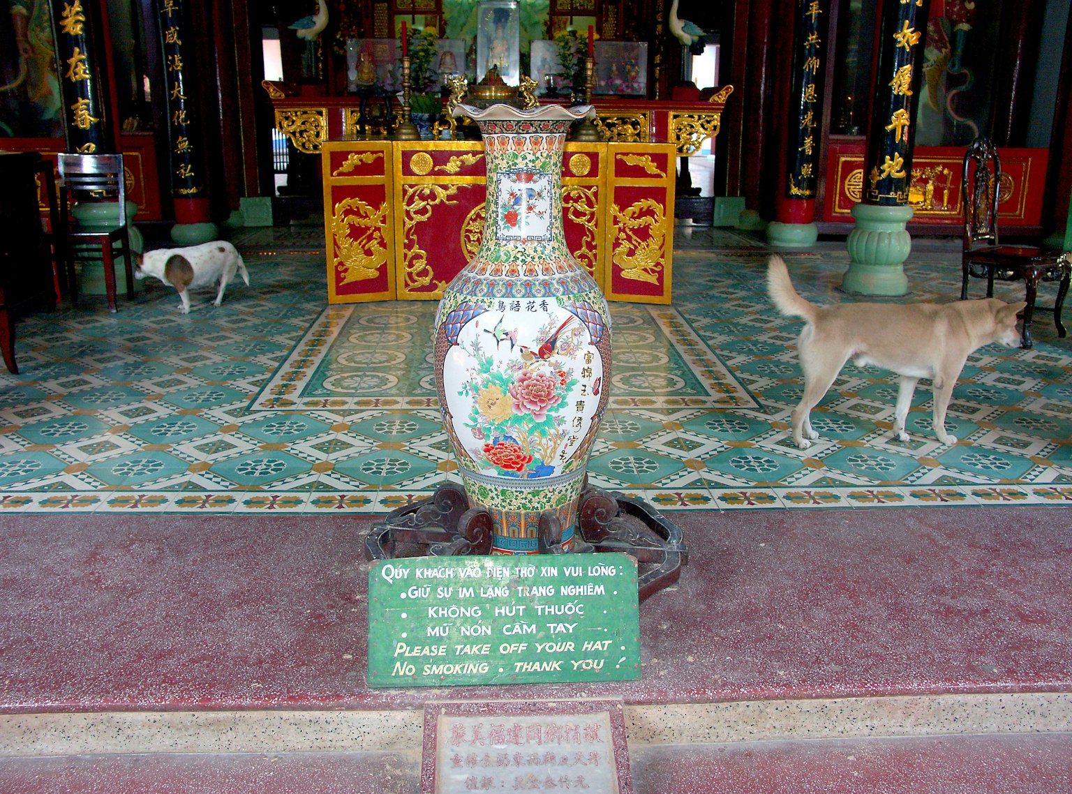 Bình hoa nhiều màu trong nội thất chùa với chó