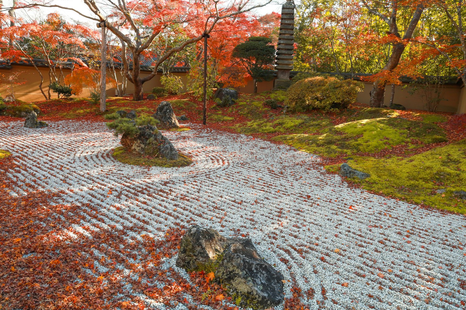 Bellissimo giardino giapponese in autunno con un motivo di ghiaia rastrellata e foglie di acero rosse e muschio verde
