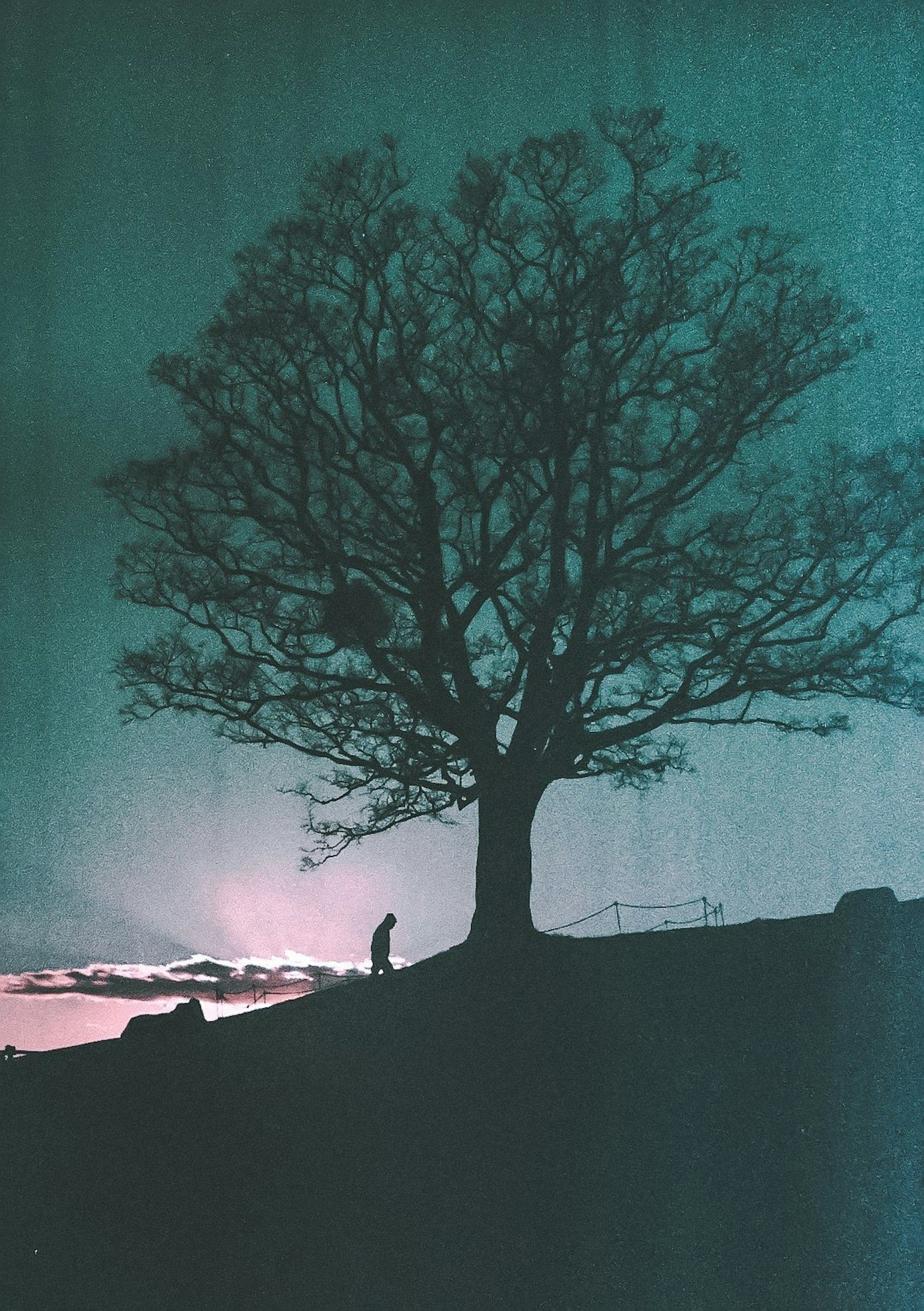 Silhouette d'un grand arbre et d'une petite figure sous le ciel nocturne