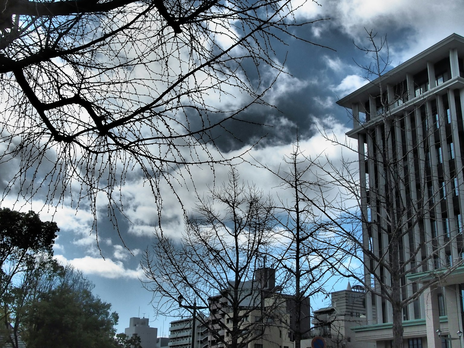 Paisaje urbano con un edificio y árboles desnudos bajo un cielo nublado