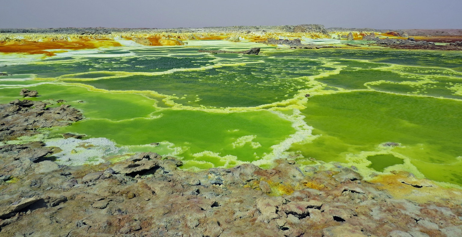 Vibrant green and yellow landscape of Danakil Lake