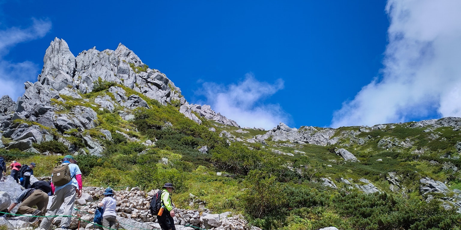 Personas escalando una montaña bajo un cielo azul con plantas verdes