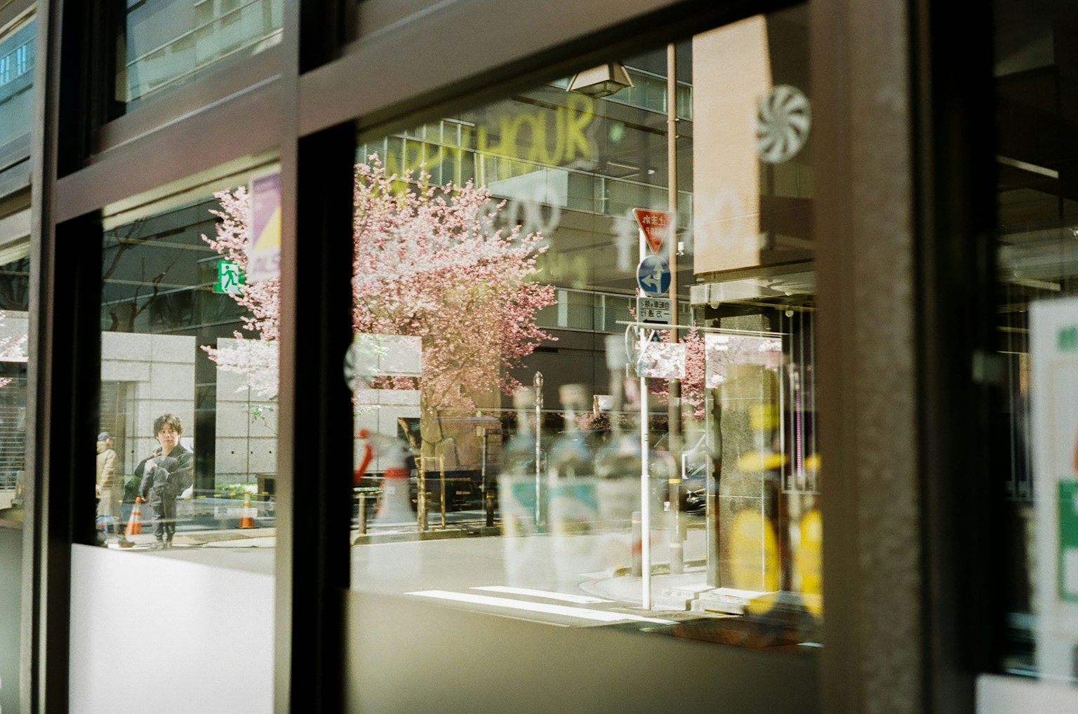 Cafe window view with cherry blossoms and passing pedestrians