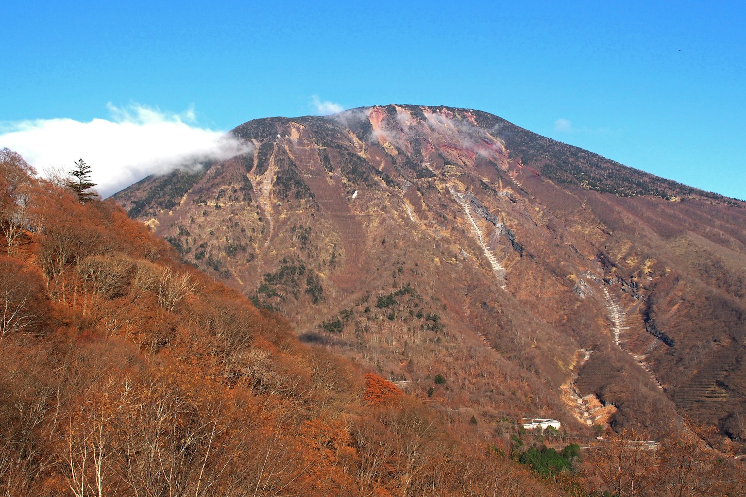 美丽的山景和秋天的树叶