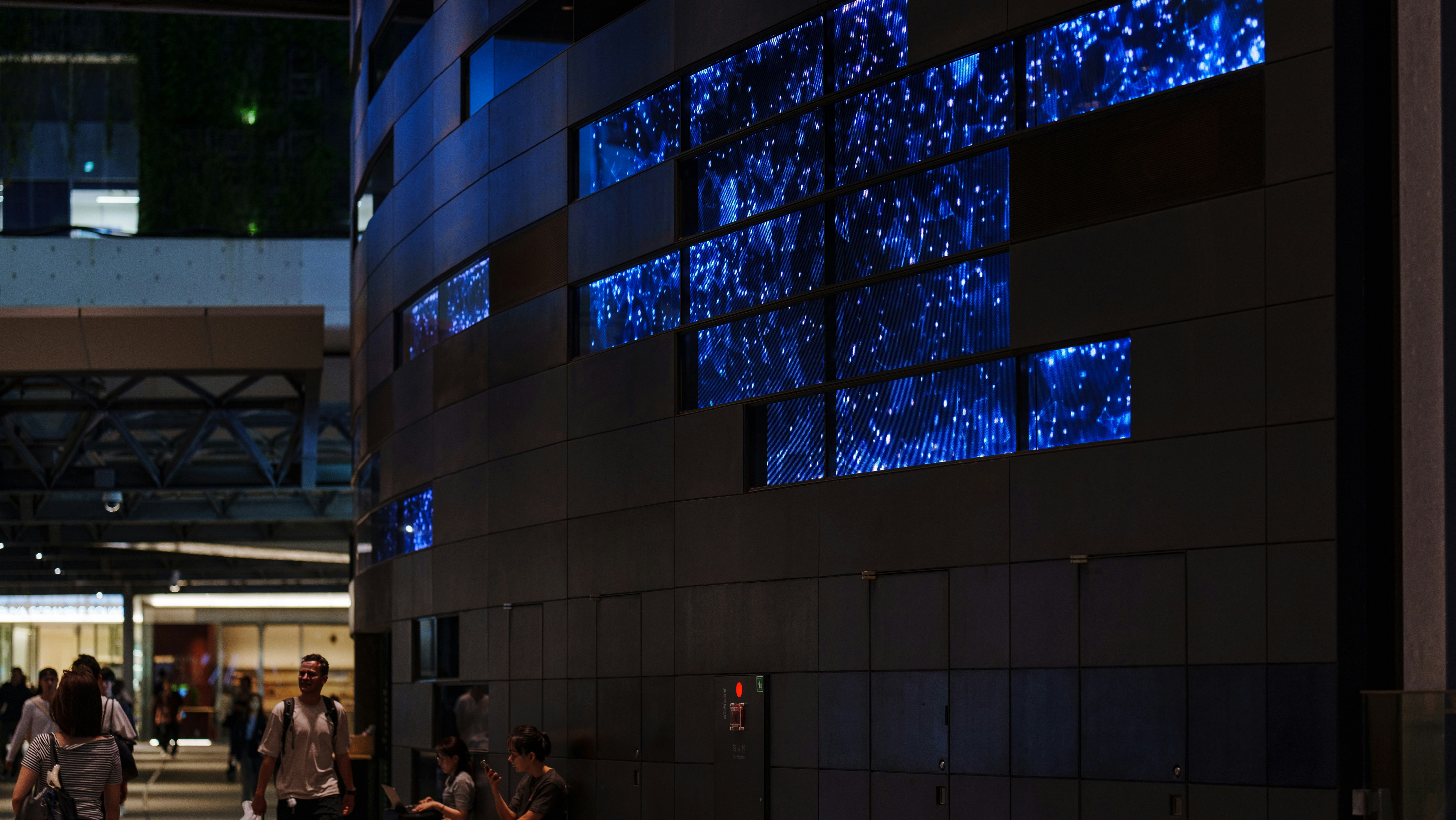 ventanas iluminadas en azul en la fachada de un edificio de noche