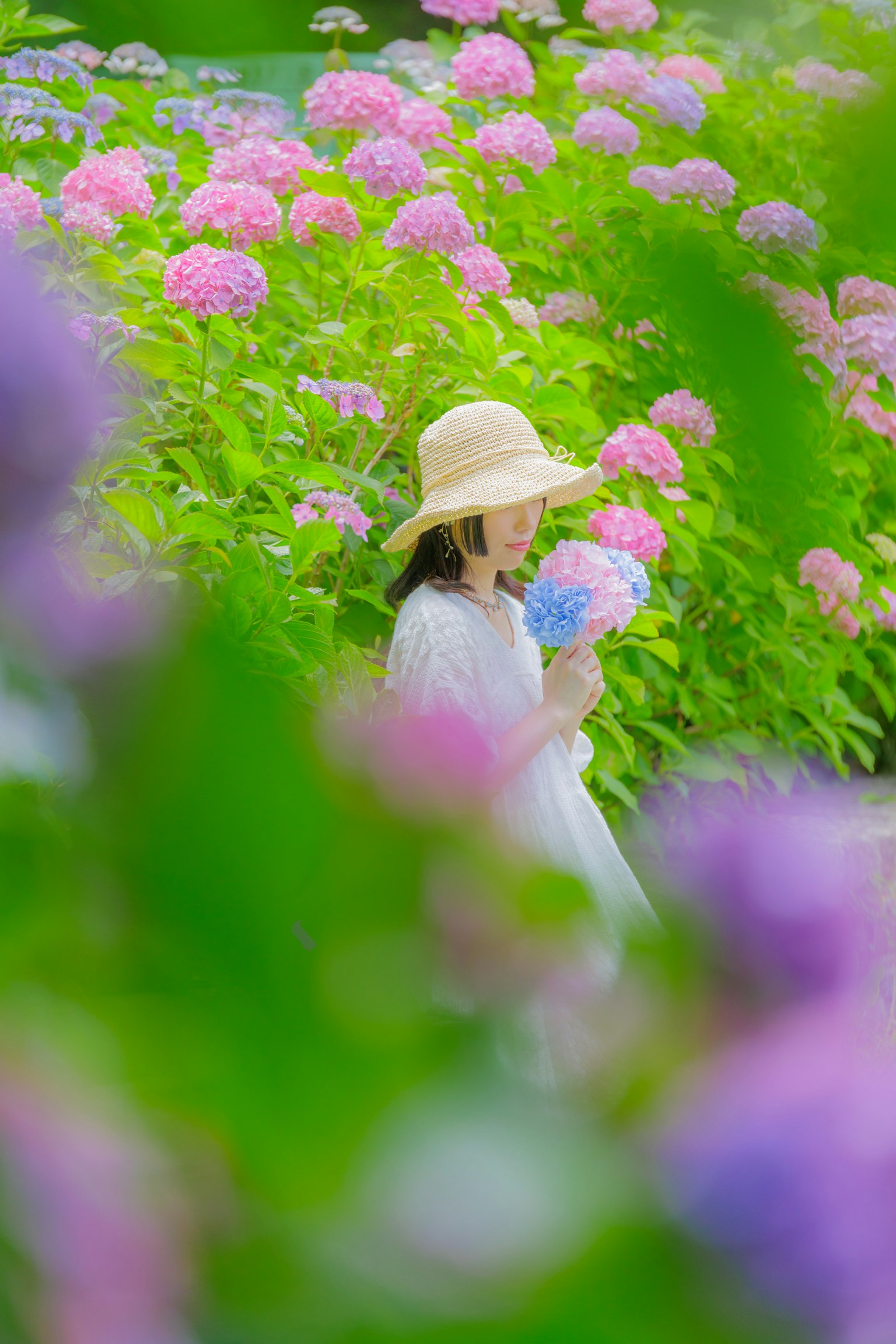 一位戴着草帽的女性在绣球花田中手持花朵
