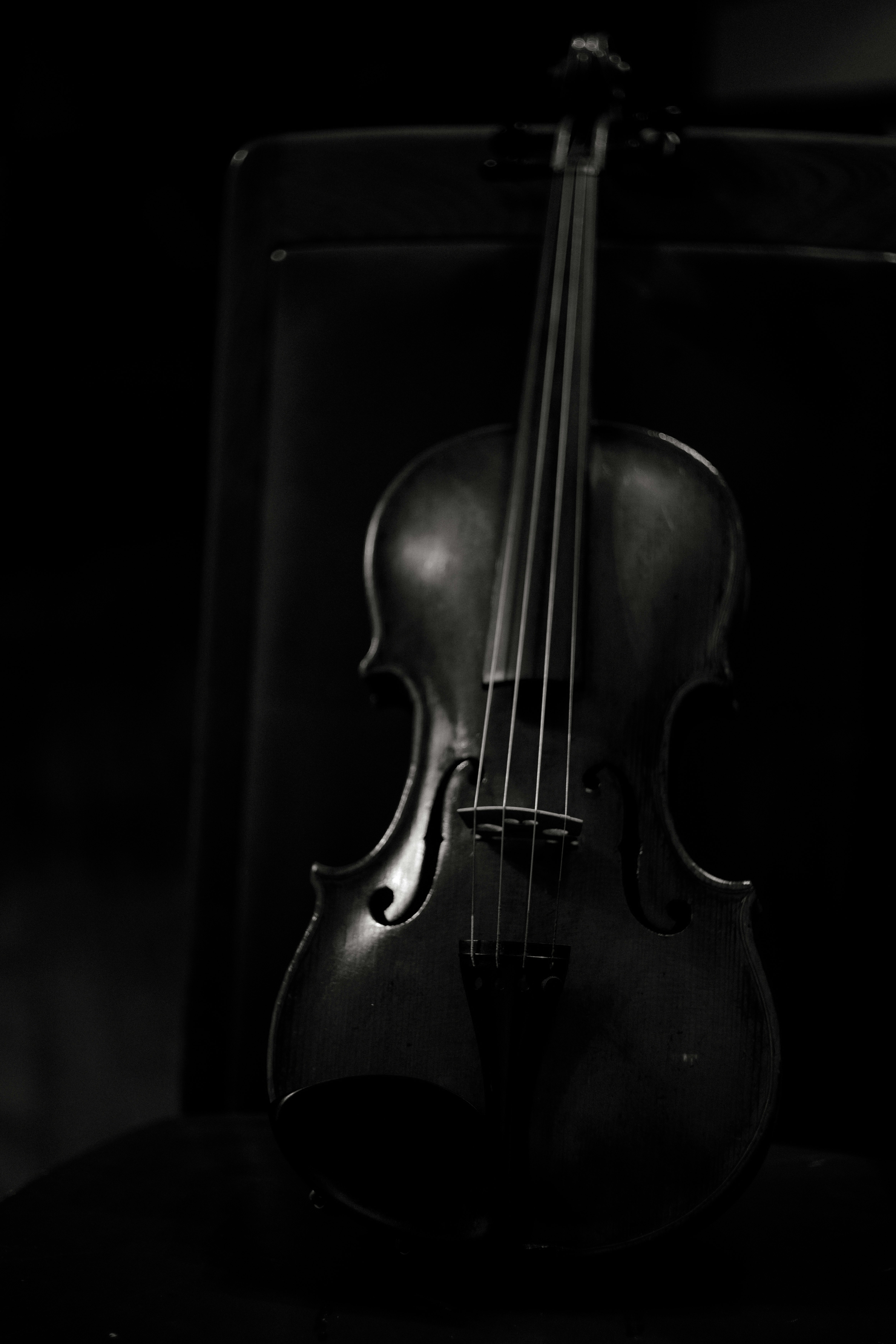 primo piano di un violino su sfondo scuro