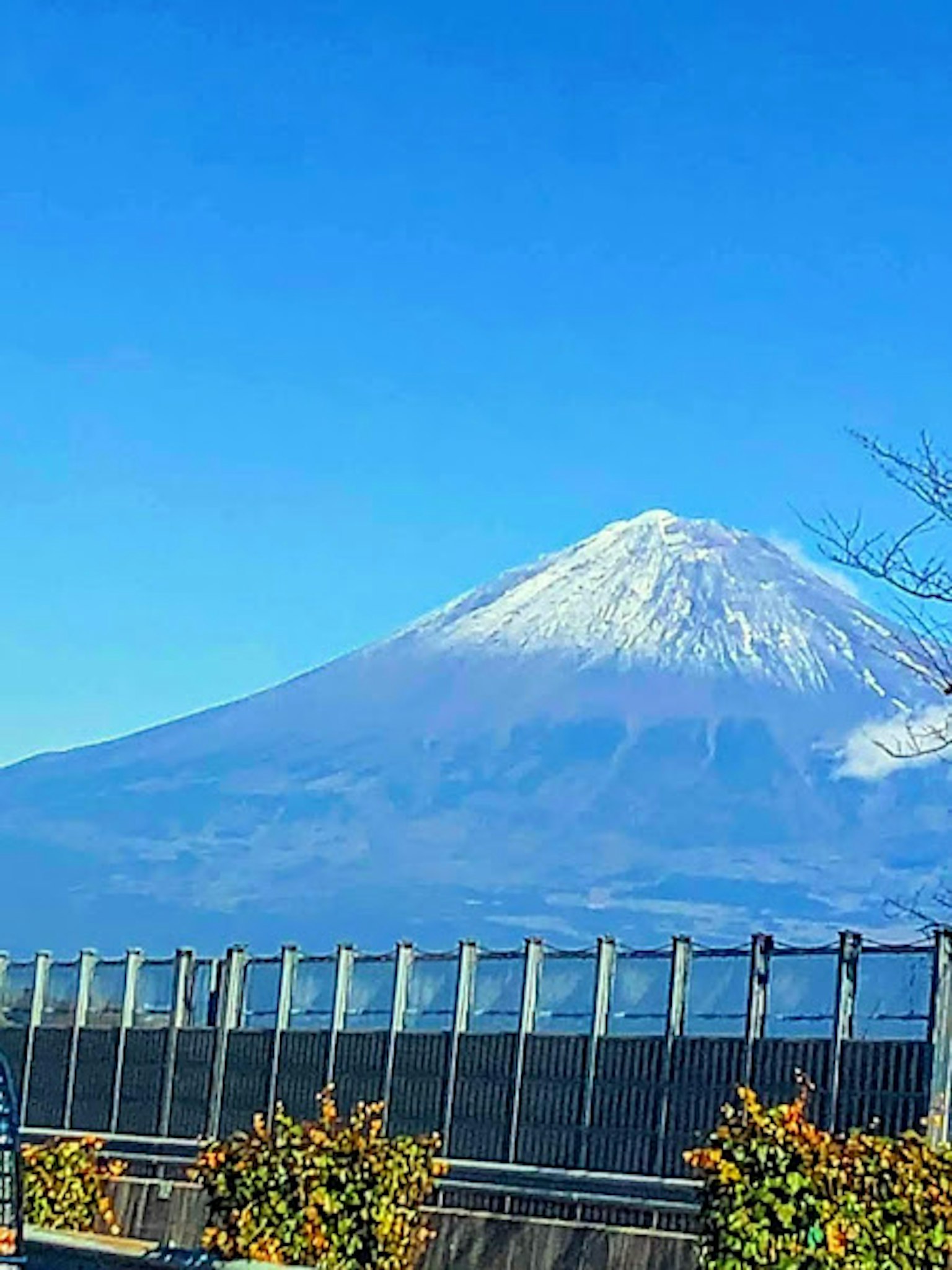 Mont Fuji enneigé sous un ciel bleu clair avec de la verdure environnante
