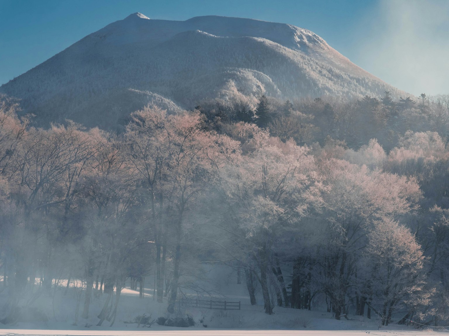 Montagna coperta di neve con nebbia che circonda alberi rosa pallido