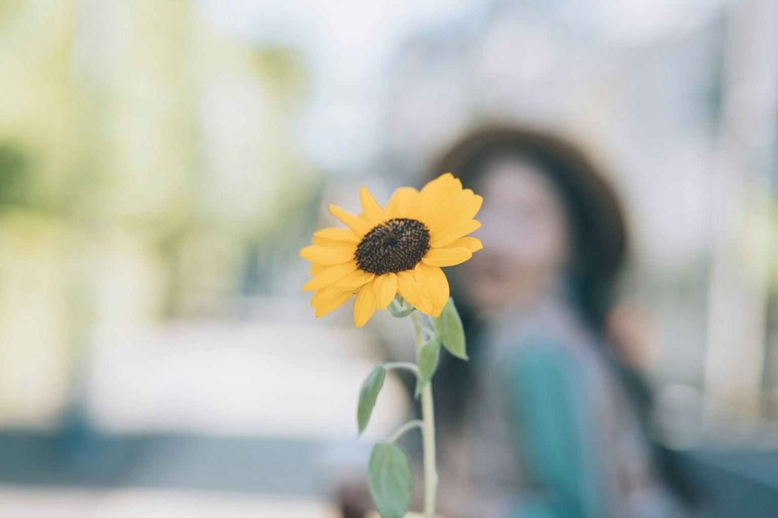 A sunflower in the foreground with a blurred woman in the background
