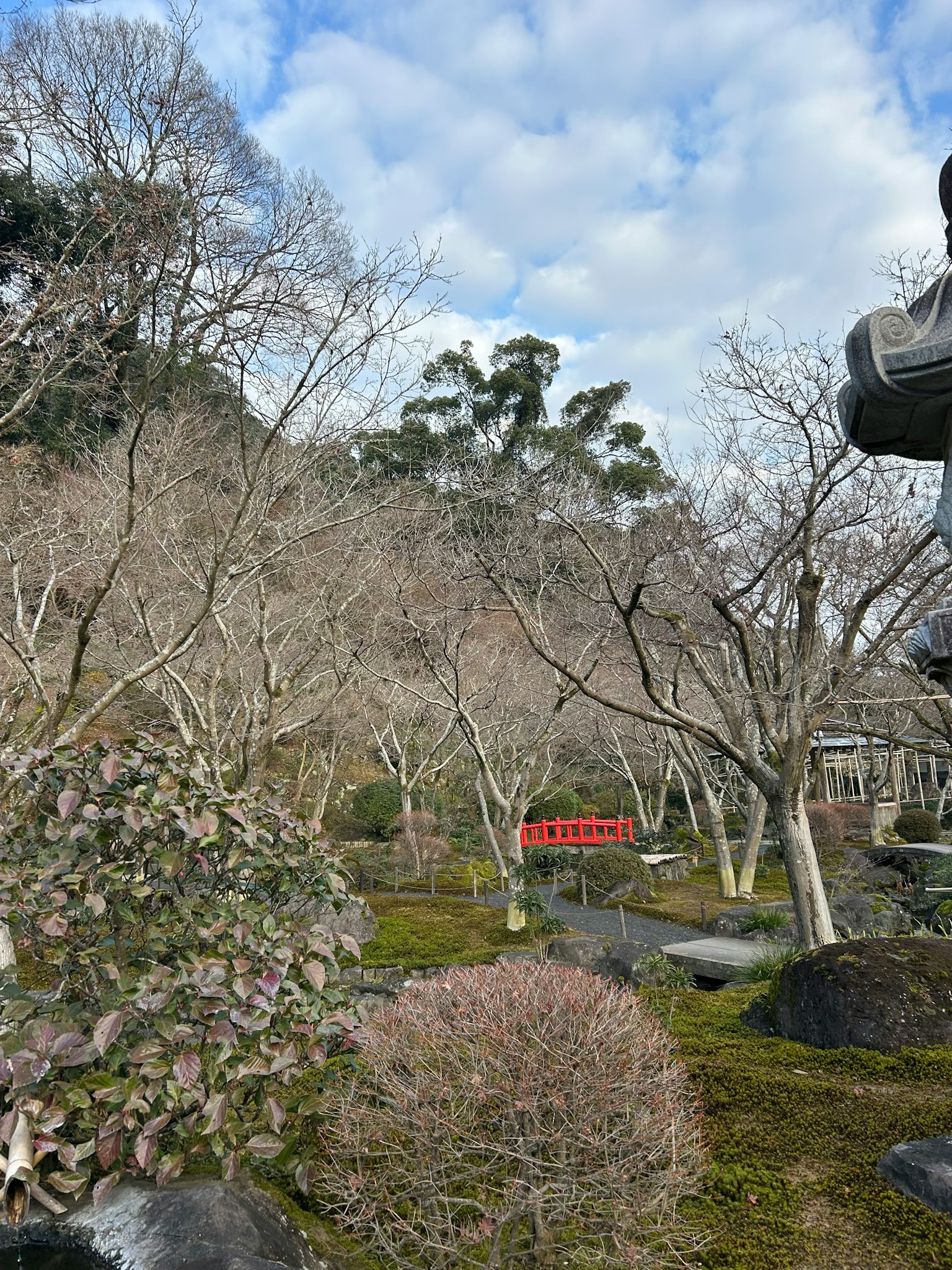 Paisaje de jardín de invierno con árboles desnudos y piedras