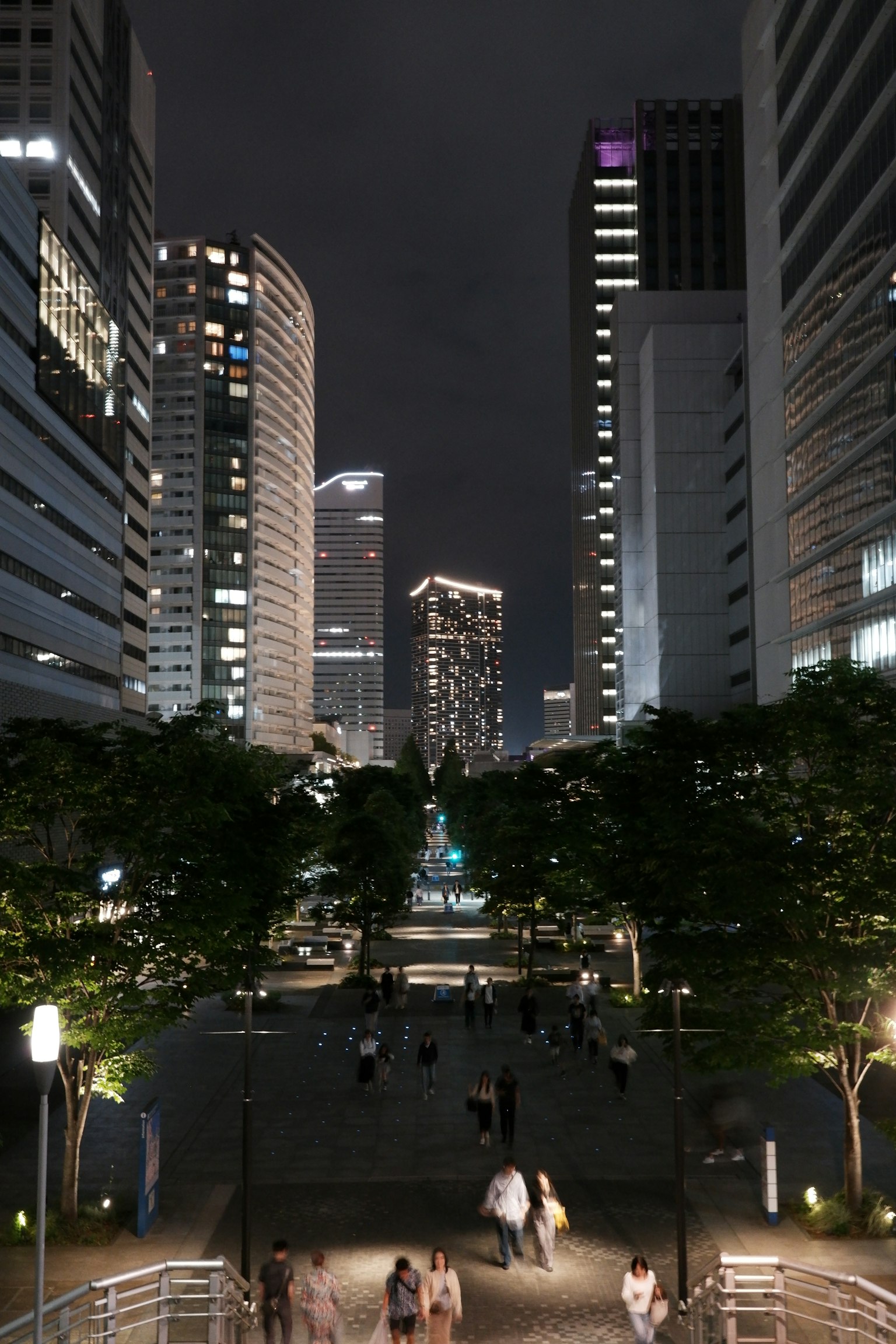 夜間城市景觀，高樓大廈，綠樹，人們走動，照明噴泉