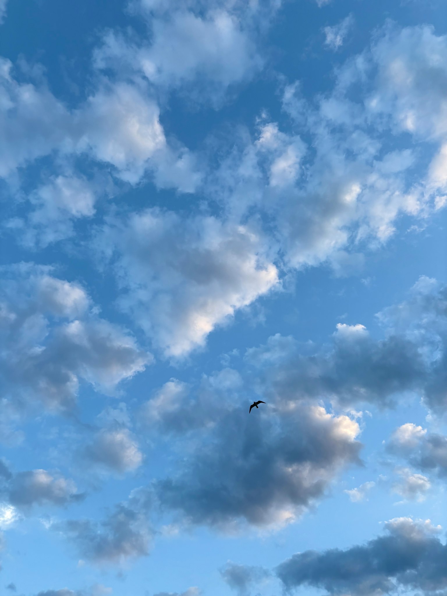 Beautiful view of white clouds floating in a blue sky