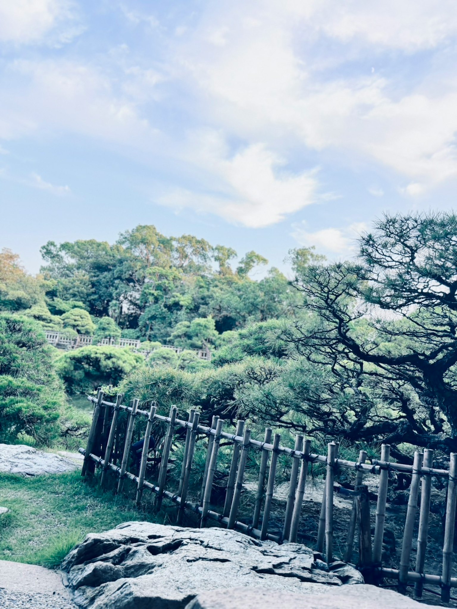Paisaje verde bajo un cielo azul con una cerca de madera