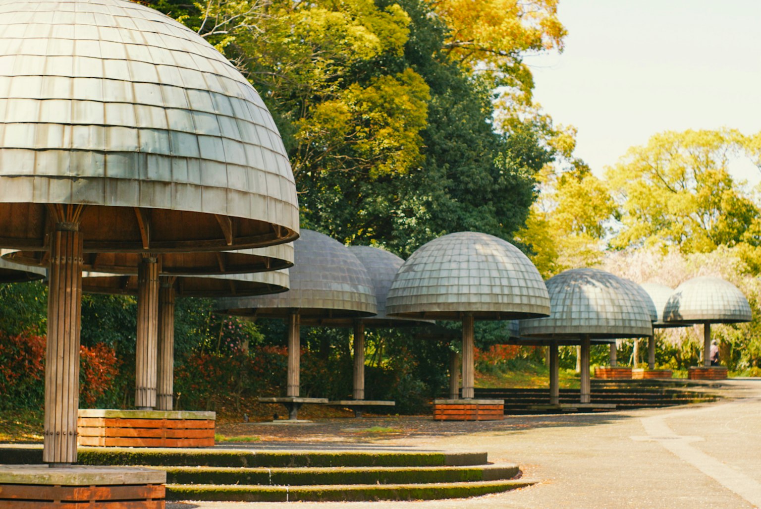 Một hàng ghế hình vòm trong công viên được bao quanh bởi cây xanh