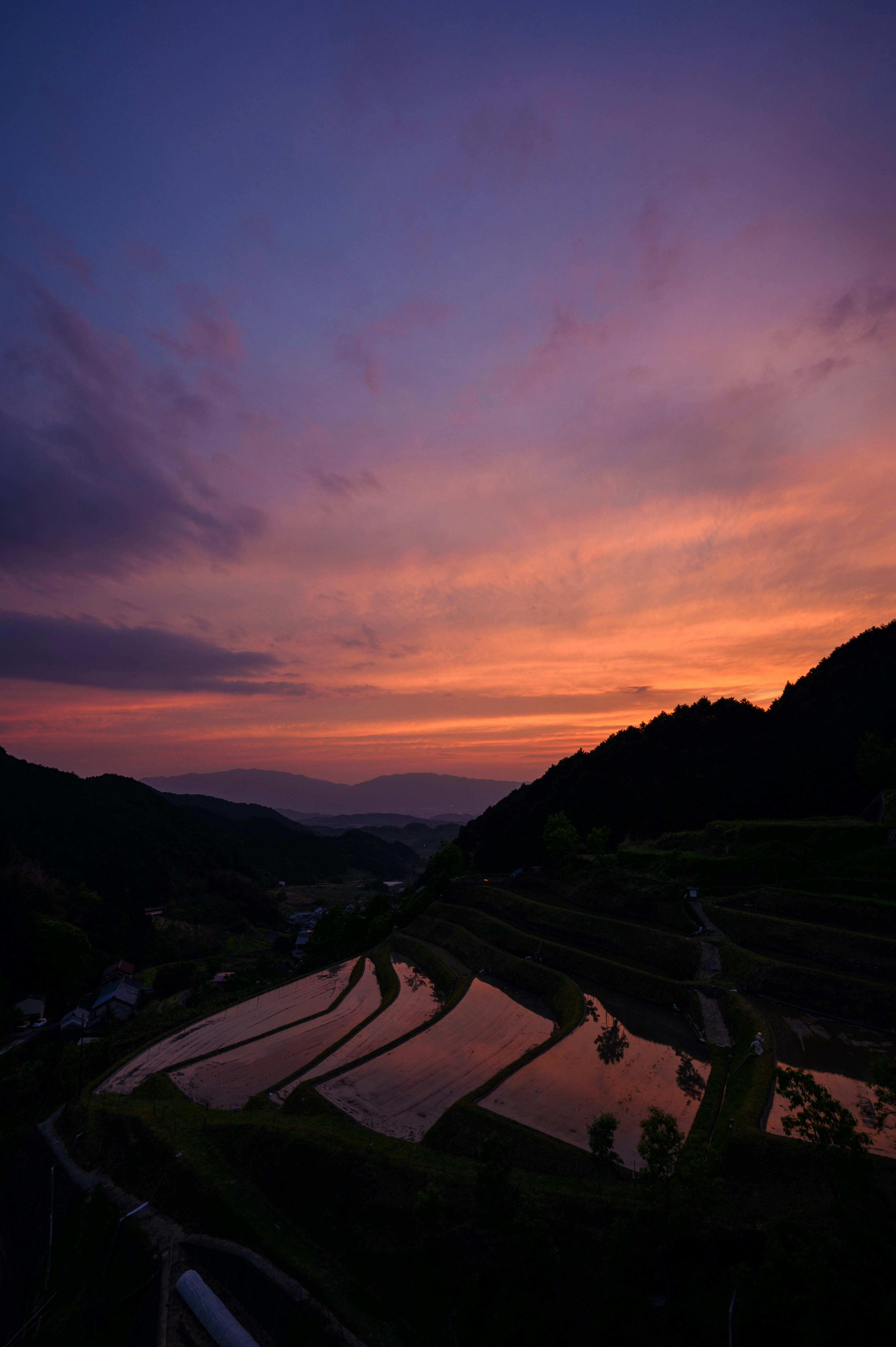 棚田の夕焼けに染まる棚田の風景