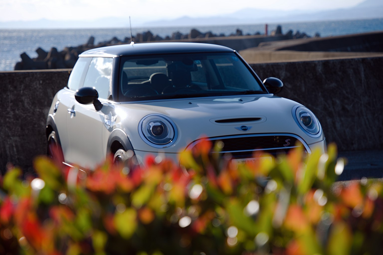 Một chiếc Mini Cooper màu trắng đậu gần biển