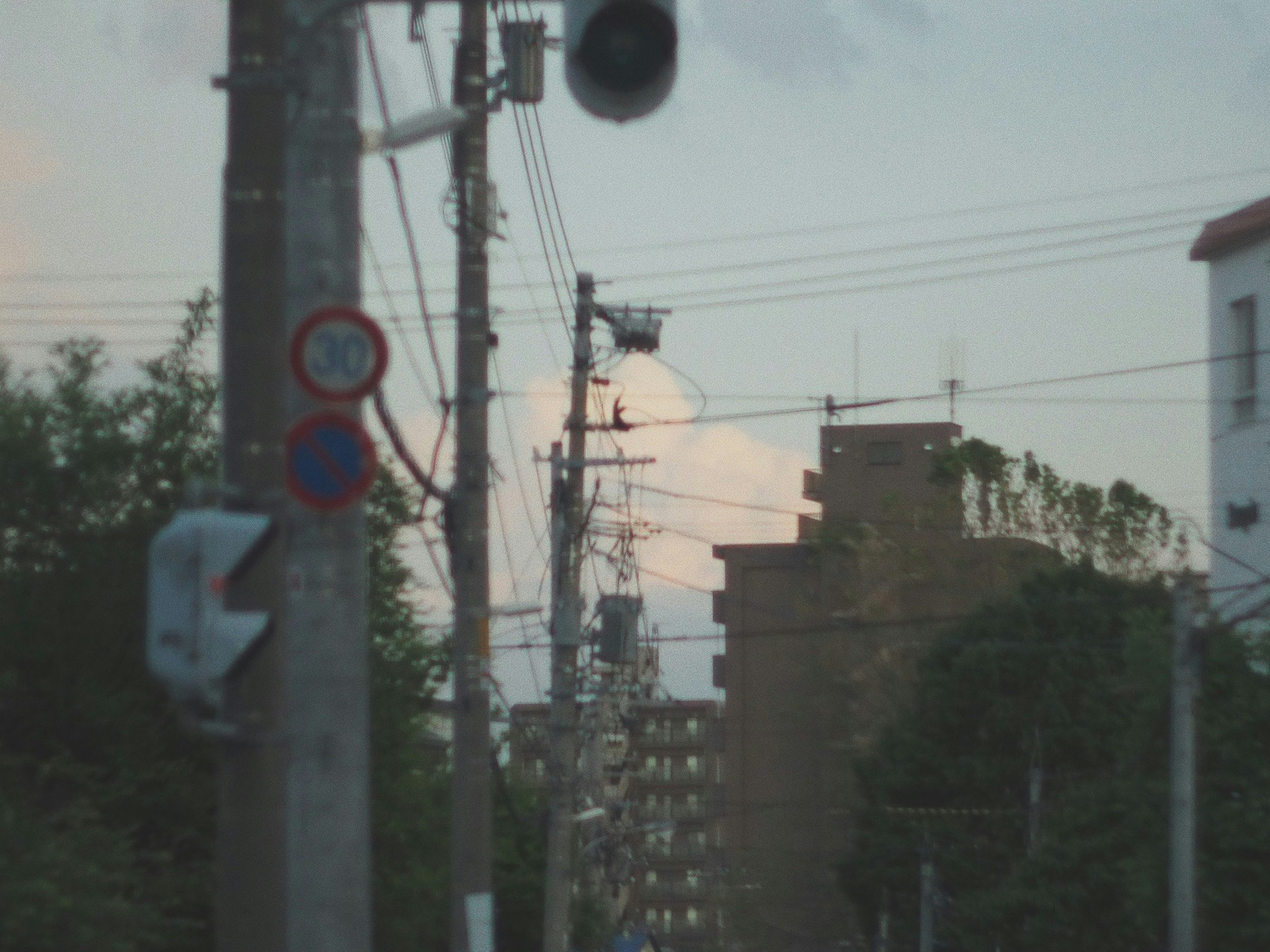 夕焼けの住宅街を走る電線と信号のある街角