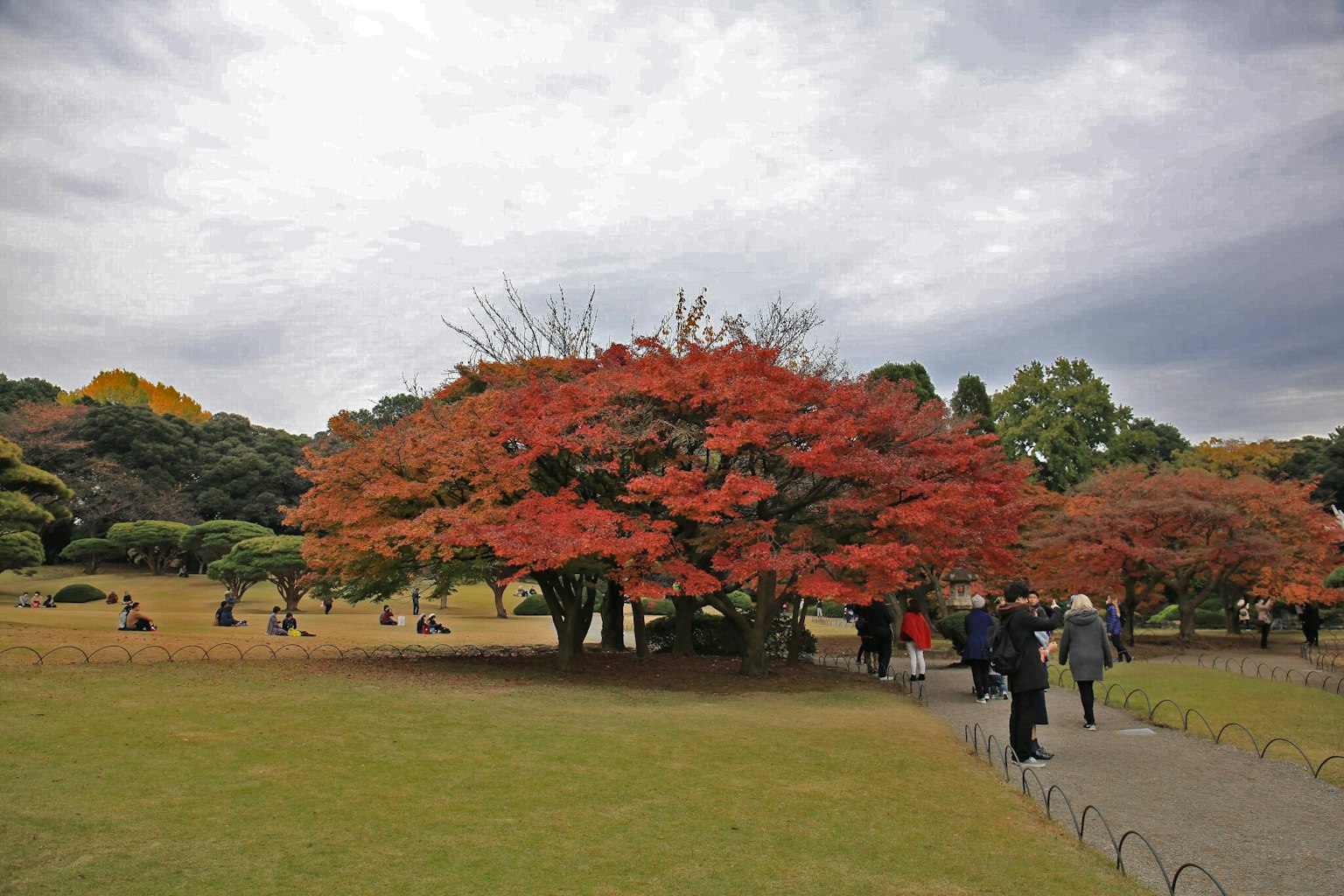 公園的風景，鮮豔的秋季葉子和行走的人們