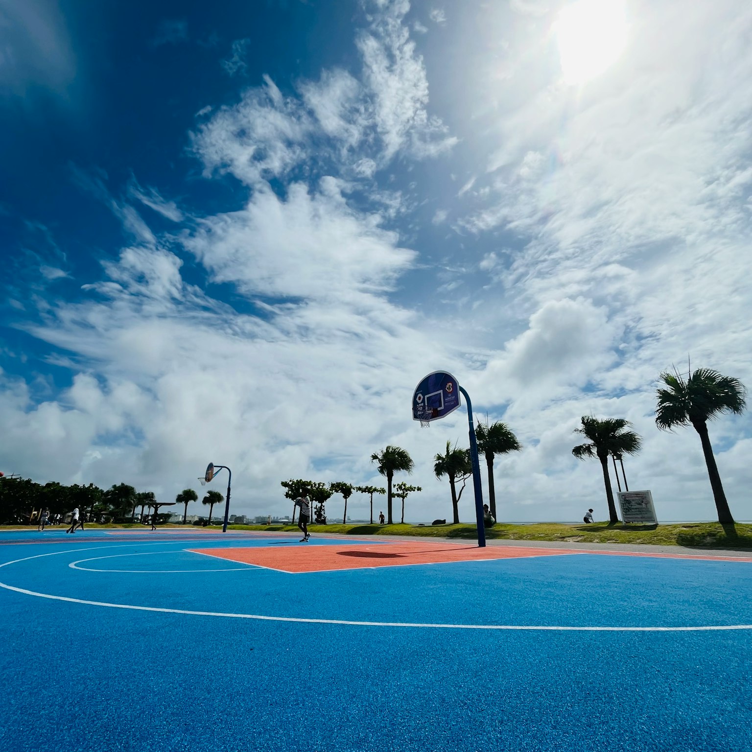 Vibrant blue basketball court under a bright sky with palm trees