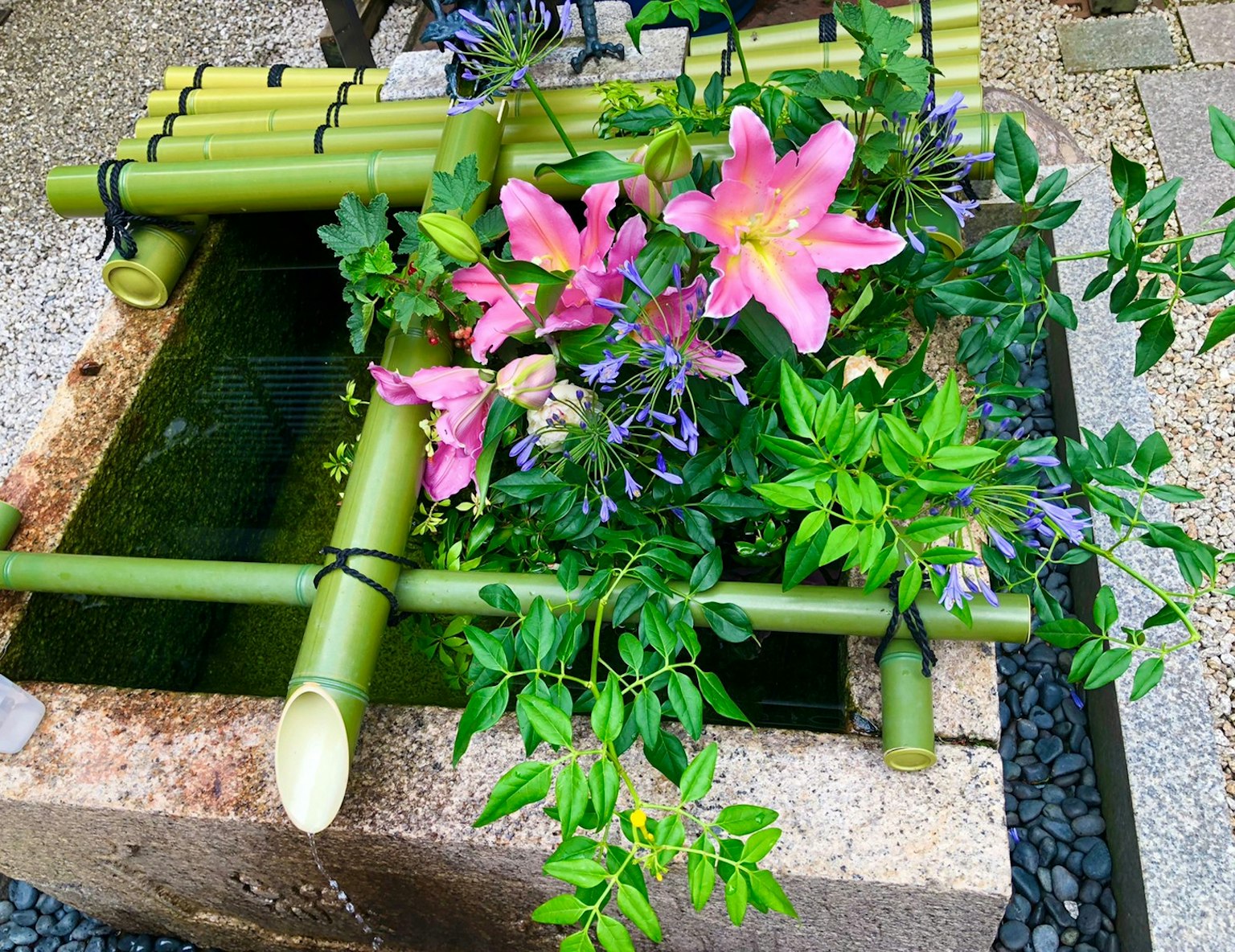 Une caractéristique de jardin tranquille avec du bambou et des fleurs colorées