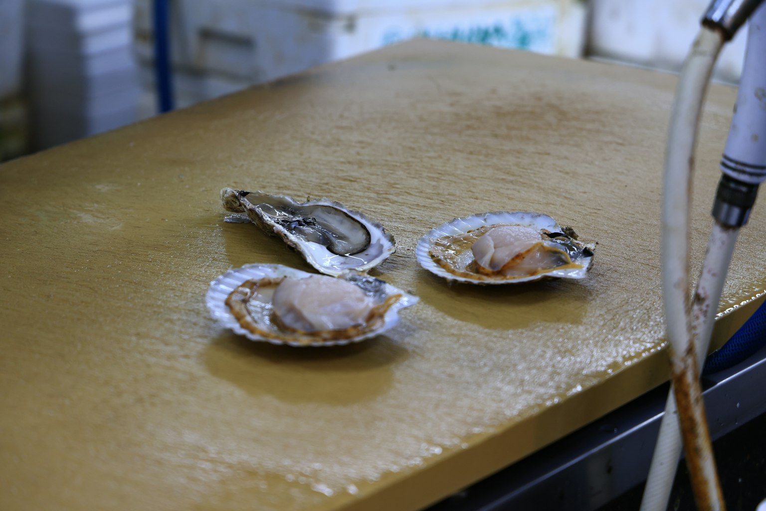 Fruits de mer frais exposés sur une table de marché