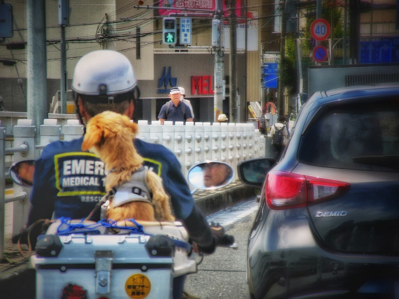 紧急医疗摩托车骑士与一只狗