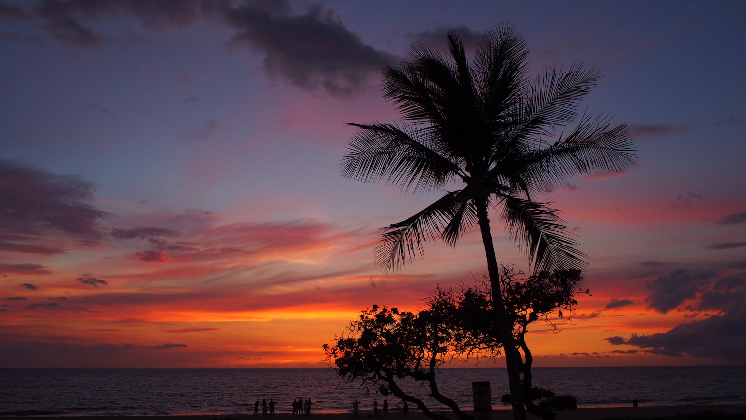 Hermoso atardecer sobre el mar con la silueta de una palmera