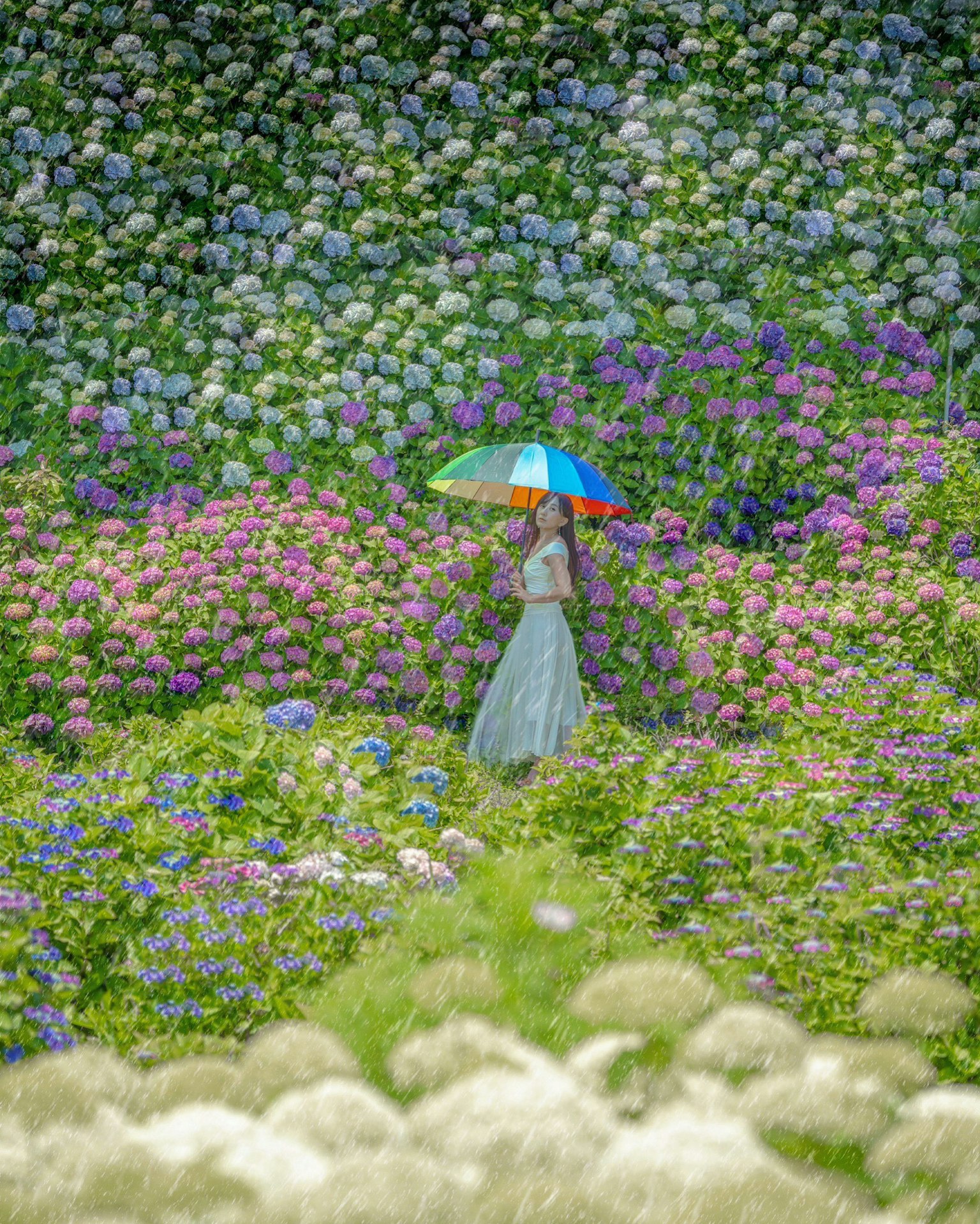 ผู้หญิงคนหนึ่งเดินถือร่มสีสันสดใส surrounded โดยดอกไม้ที่มีชีวิตชีวา