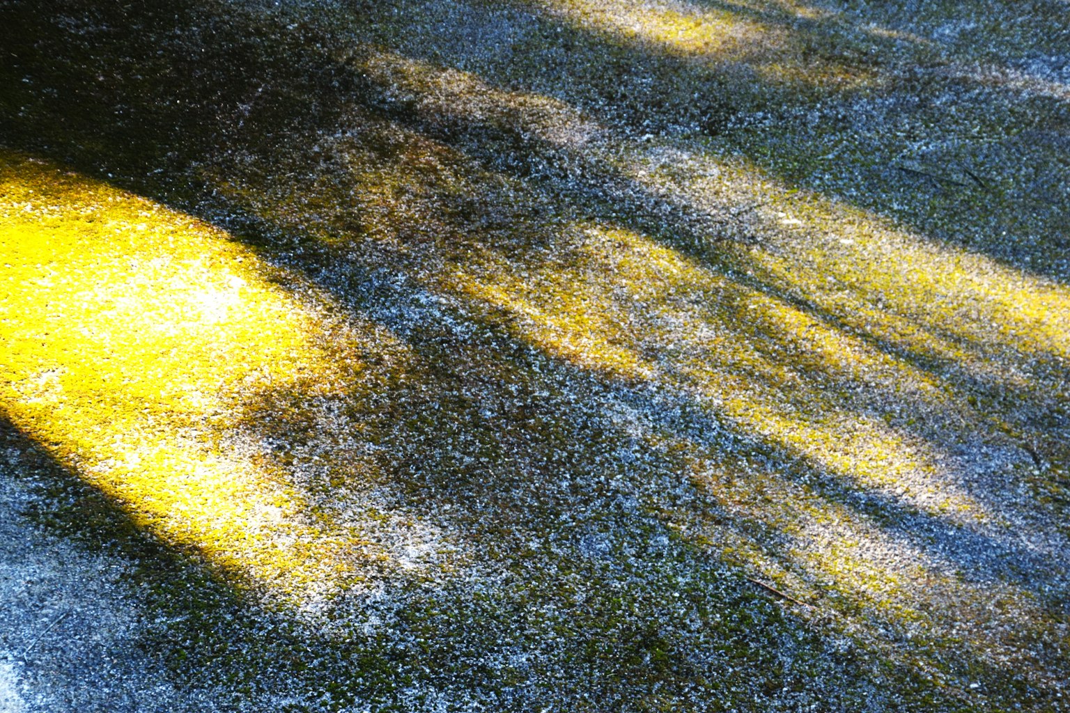 Reflets de lumière et d'ombres sur la surface de l'eau