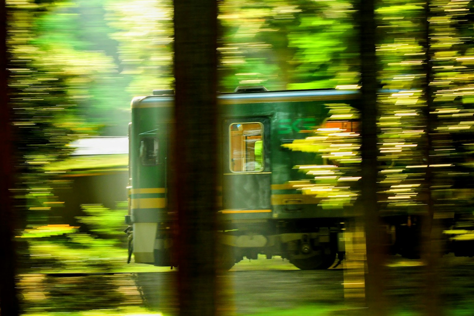Un treno verde che passa attraverso una foresta con uno sfondo sfocato