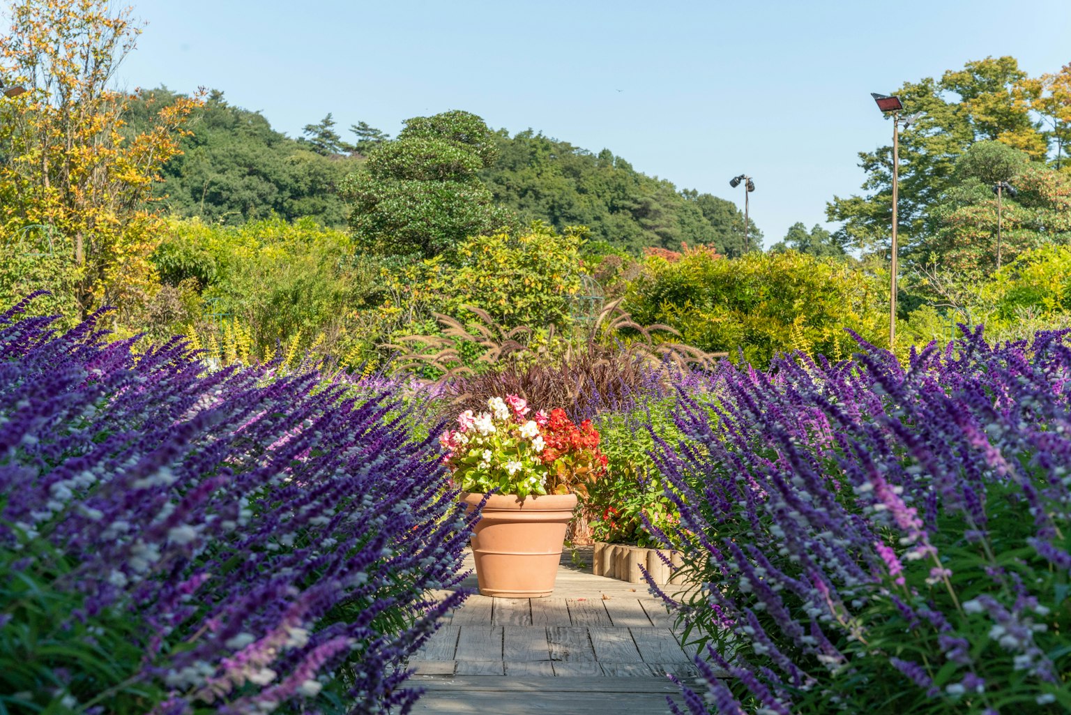 Un chemin pittoresque avec des fleurs colorées dans un jardin